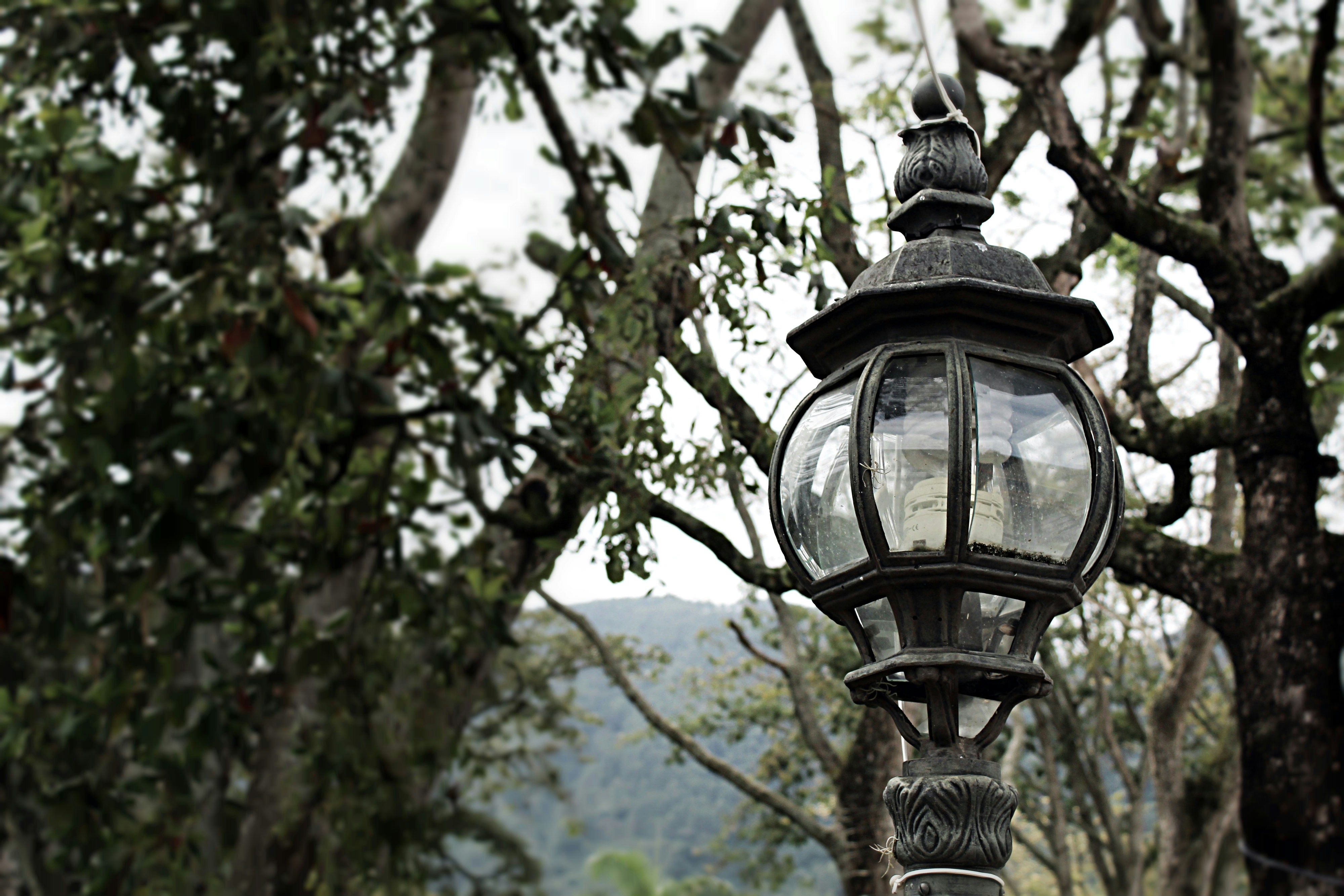 Free Unsplash photo from Jhon David