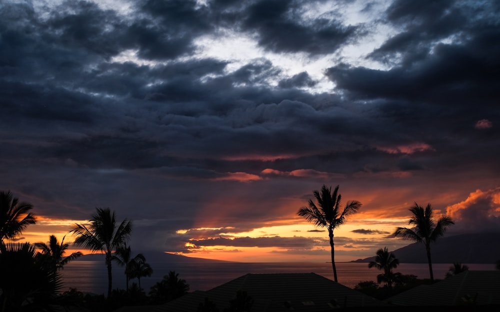 silhouette of trees under cloudy sky