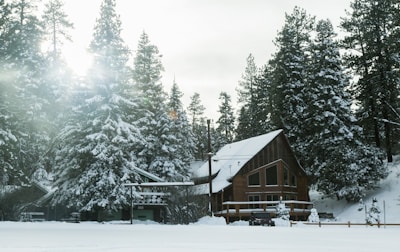 A cozy wooden cabin nestled in a snowy forest with tall pine trees surrounding it. The sun is peeking through the trees, casting a gentle light on the snow-covered landscape. A vehicle is parked near the cabin, and the scene is enveloped in a serene and peaceful atmosphere.