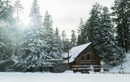 A cozy snowmobile parked by a cabin surrounded by snow-covered pine trees at dusk.