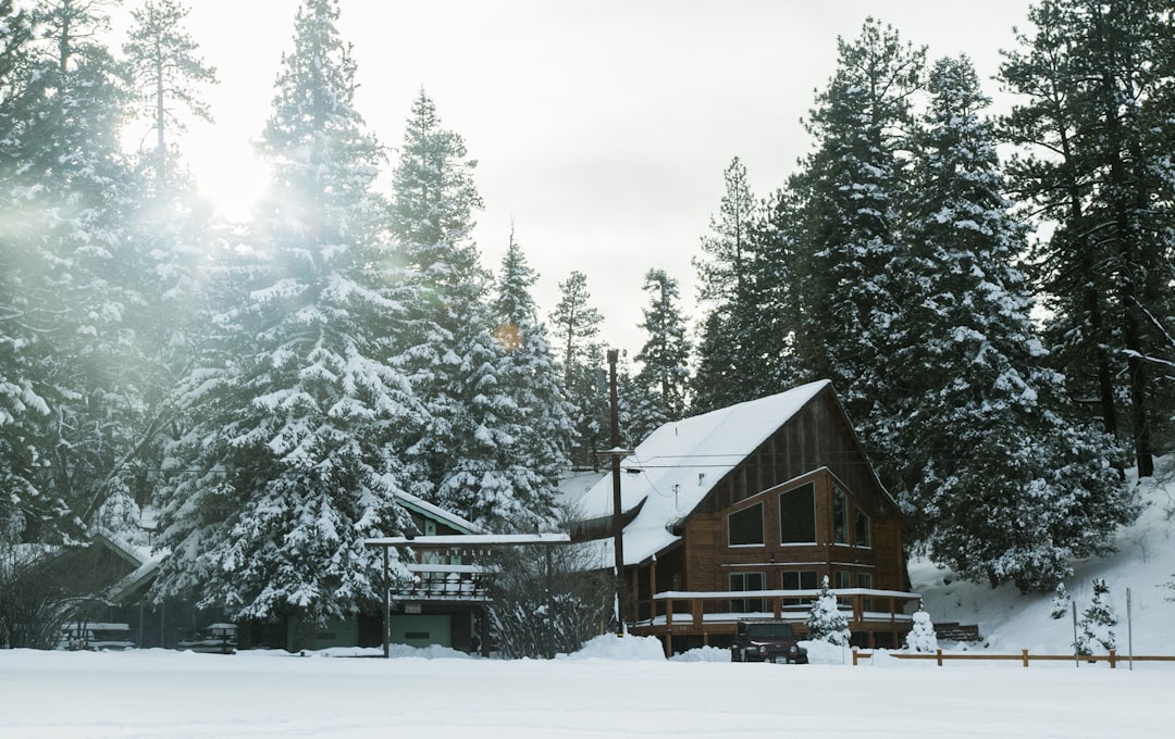 architectural photography of brown house, Winter cabin in California