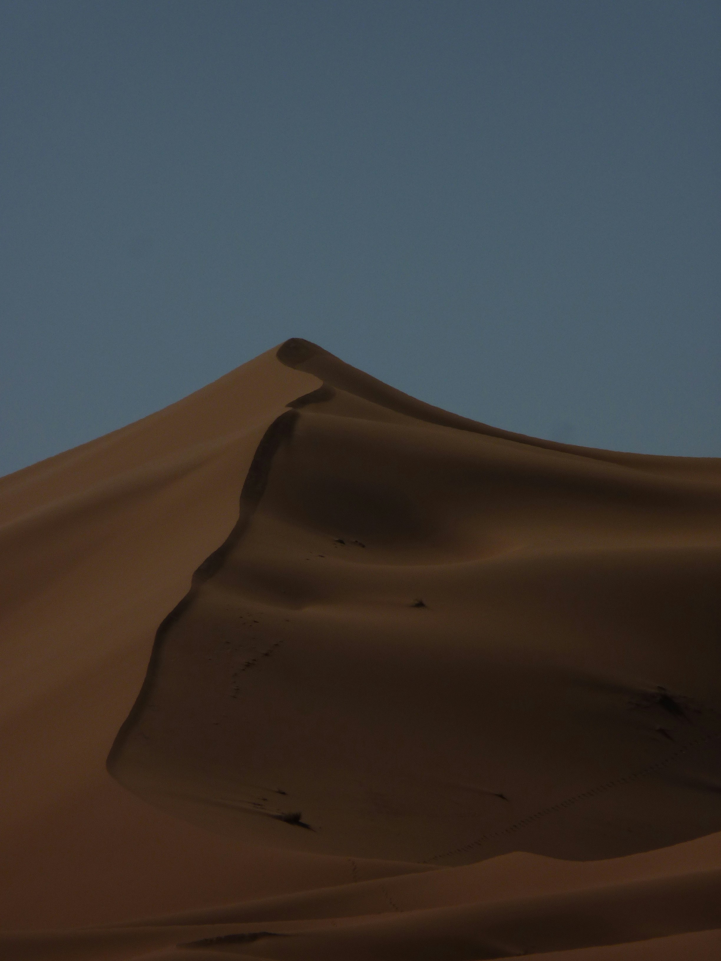 Free Unsplash photo from Solange Moreno