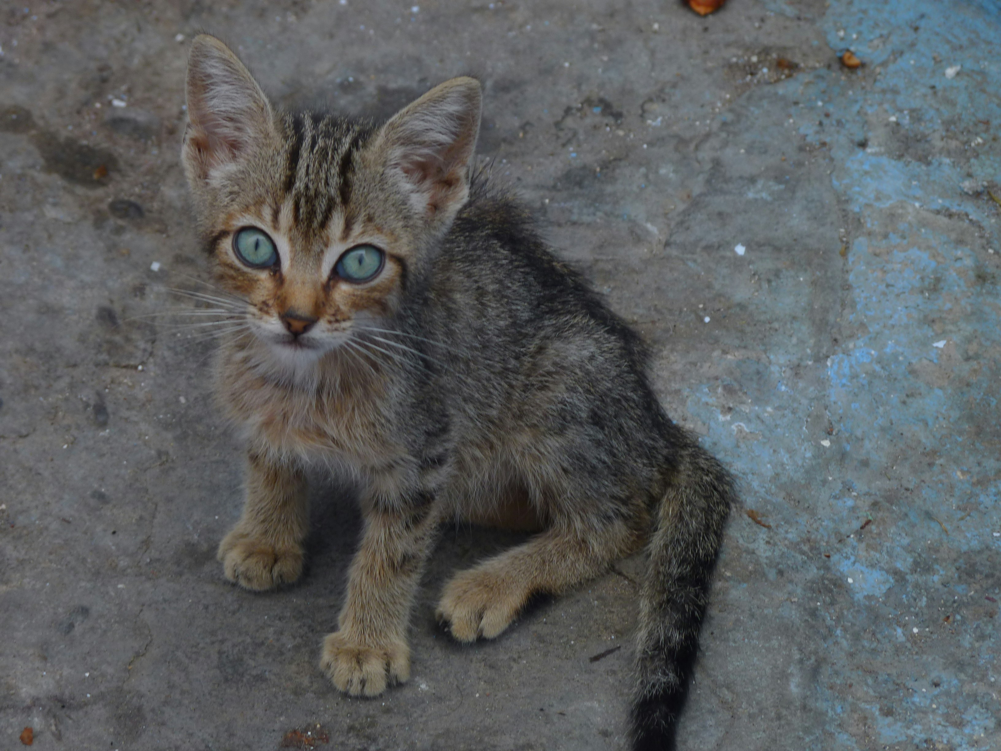 Free Unsplash photo from Solange Moreno