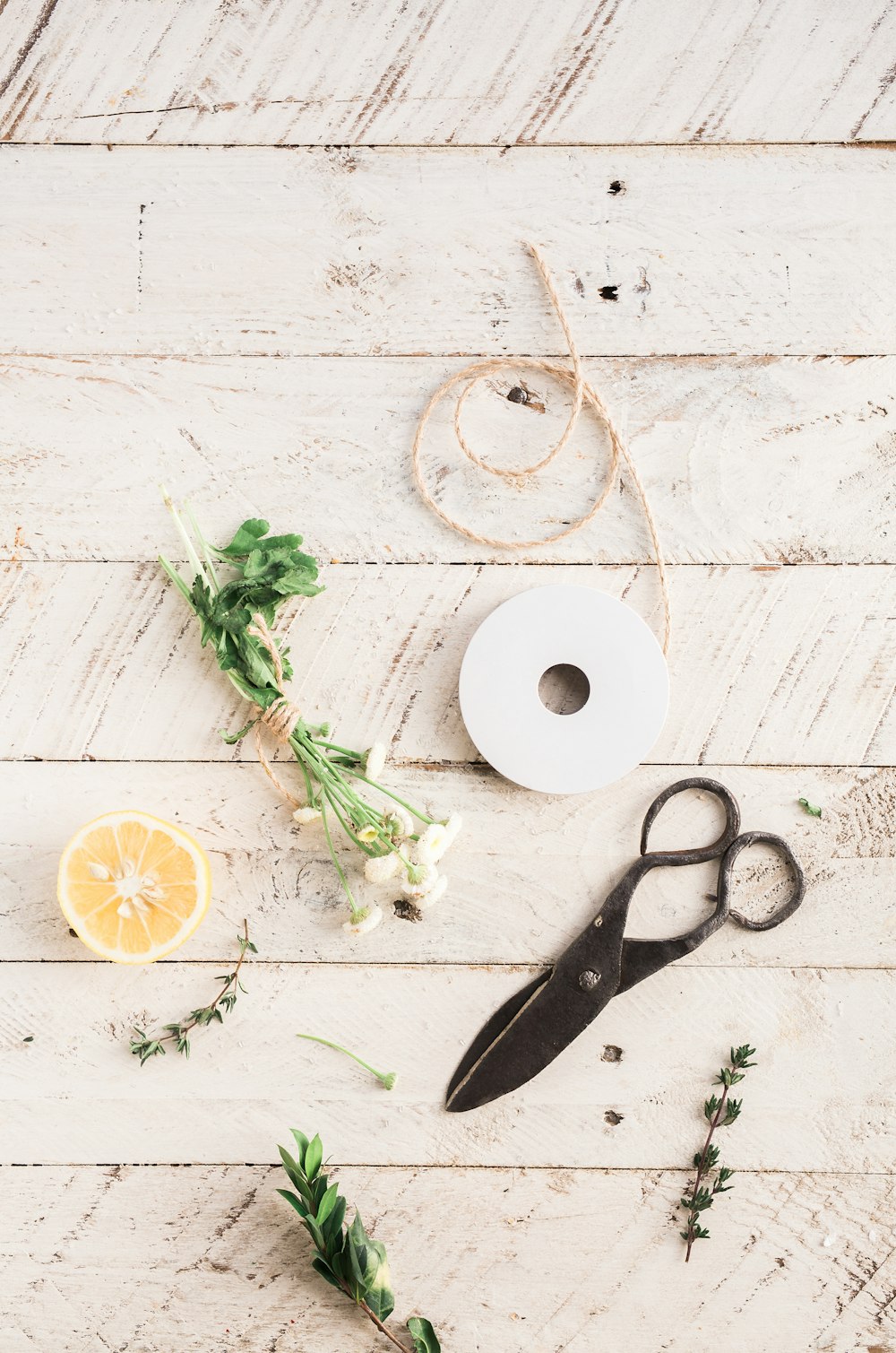 tailoring shears next to spool of brown rope