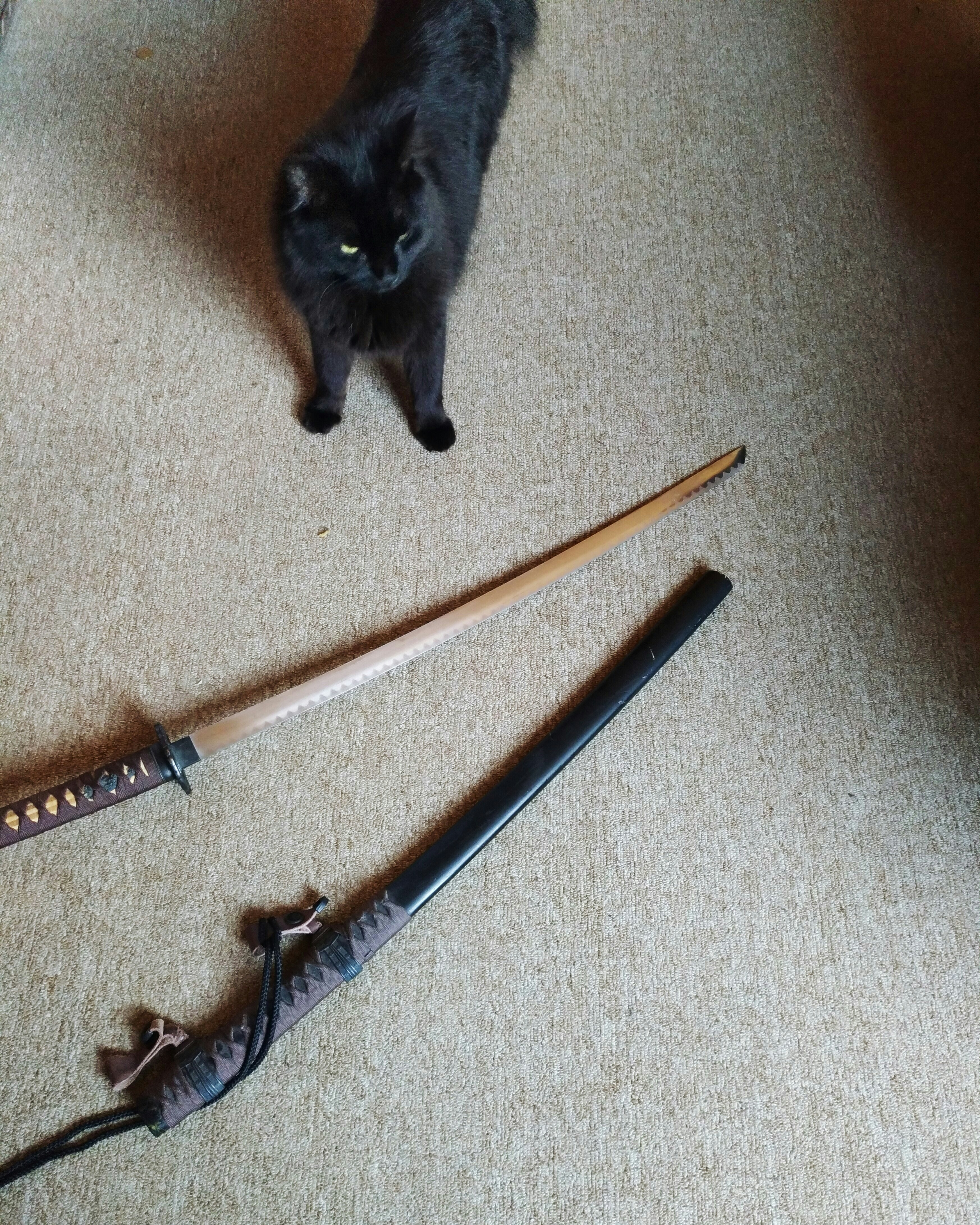 Free Unsplash photo from Mario Sanz R