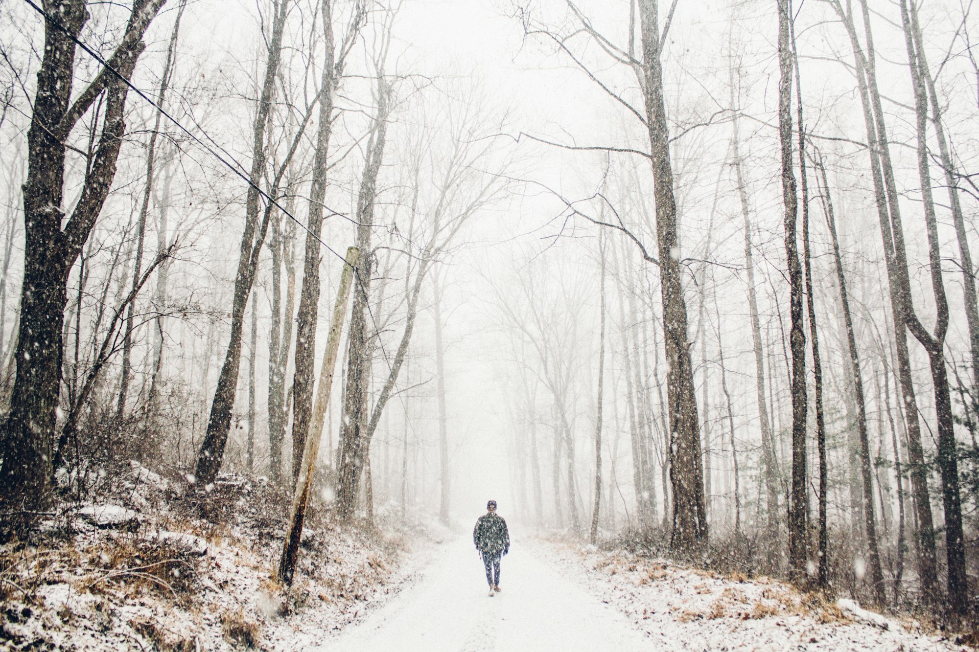 Caught in the Snow