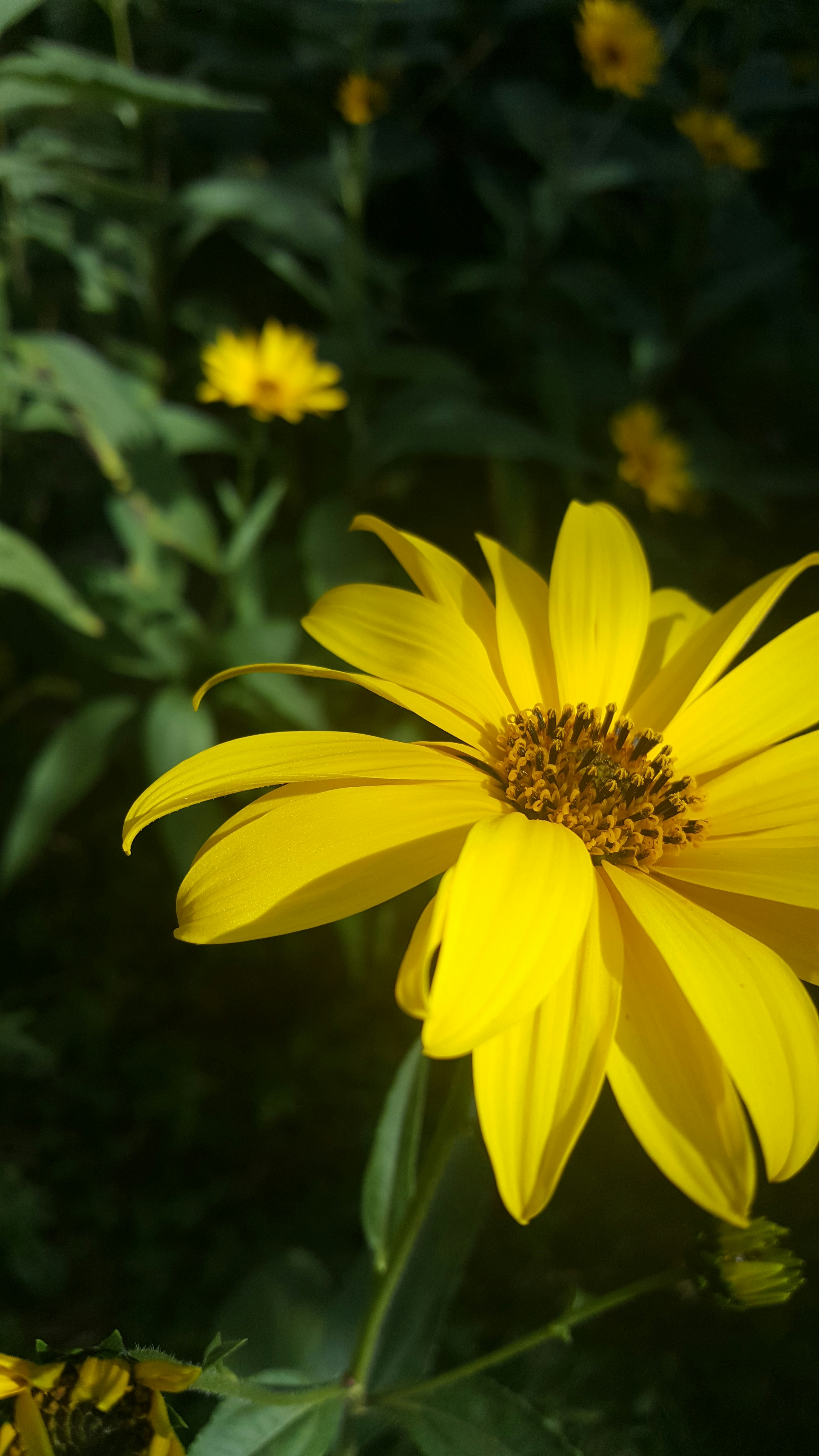 Free Unsplash photo from Aasha Edwards