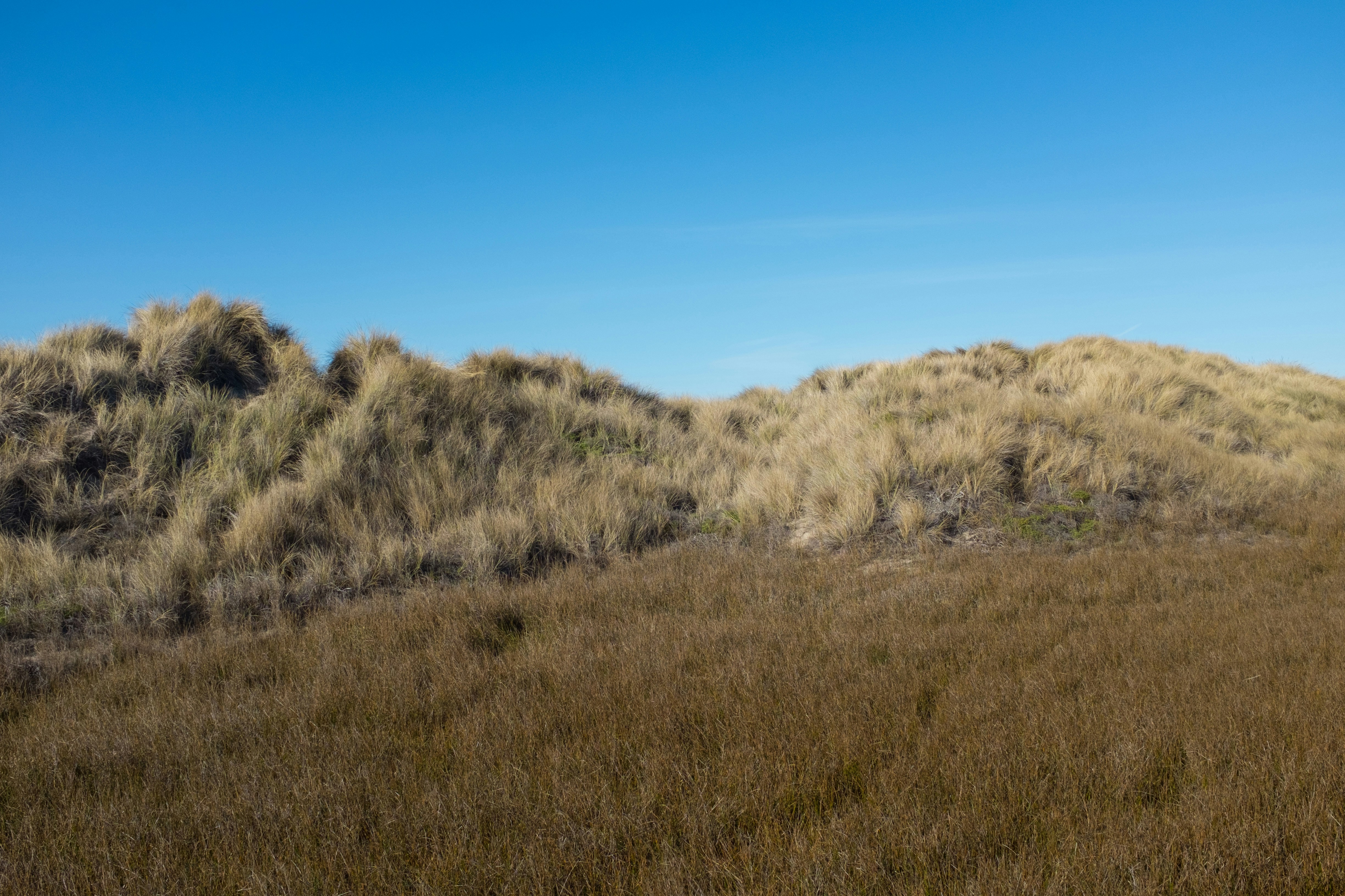 Free Unsplash photo from Garret Voorhees