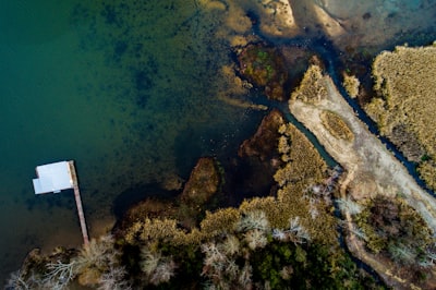 aerial photography of body of water alabama zoom background