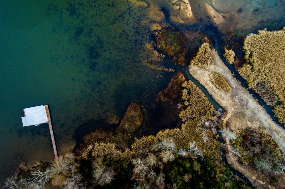 aerial photography of body of water