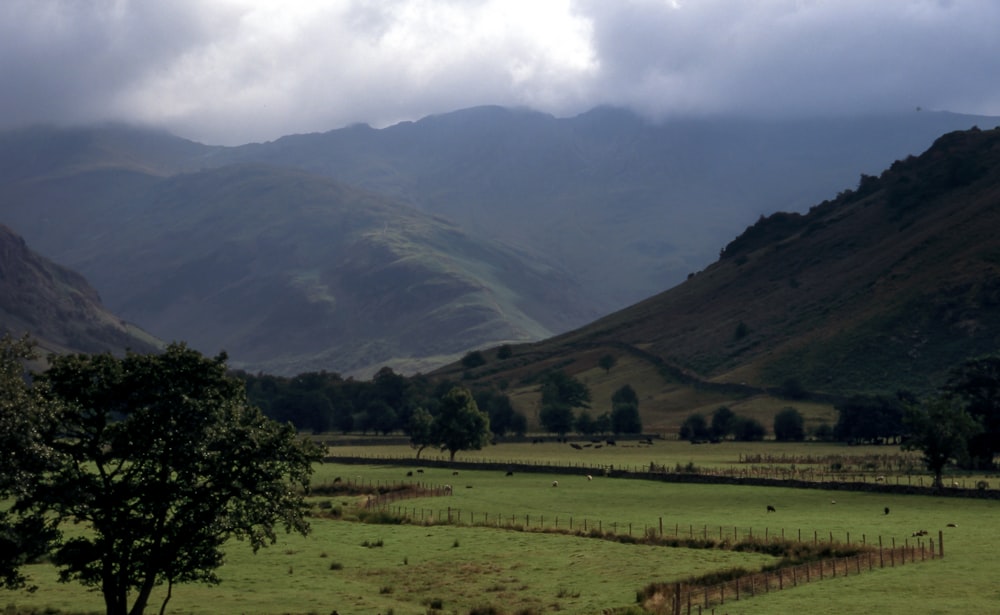 cloudy sky over mountains and grass field