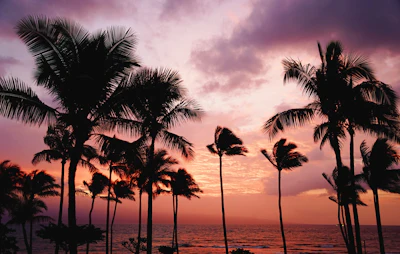 Cheap hotels and flights to Honolulu, USA — book by phone with CheapoTrav