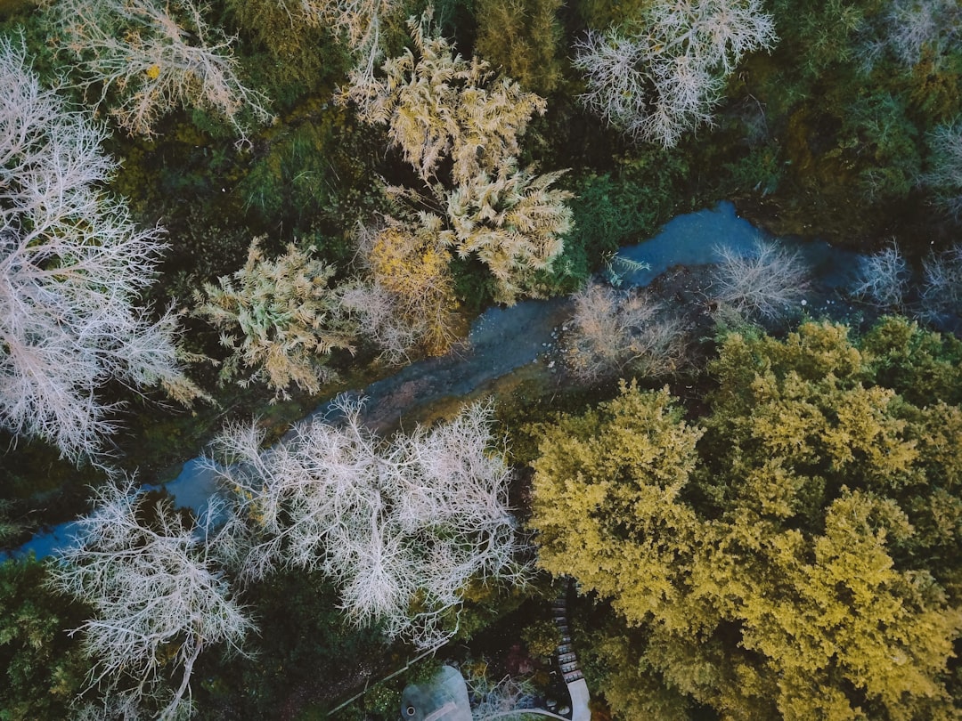 travelers stories about Nature reserve in Lafayette, United States