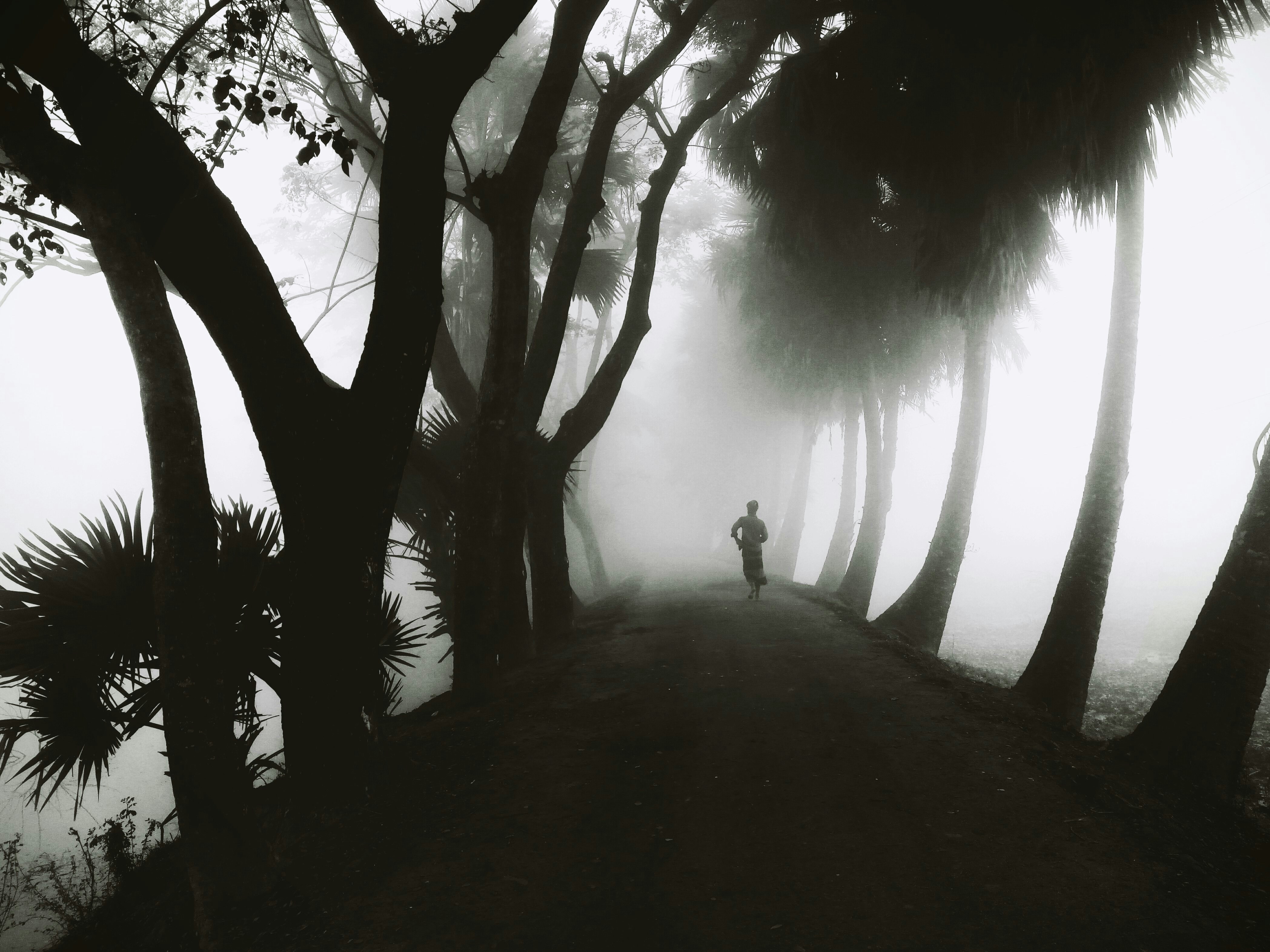 Free Unsplash photo from Foysal Dipu