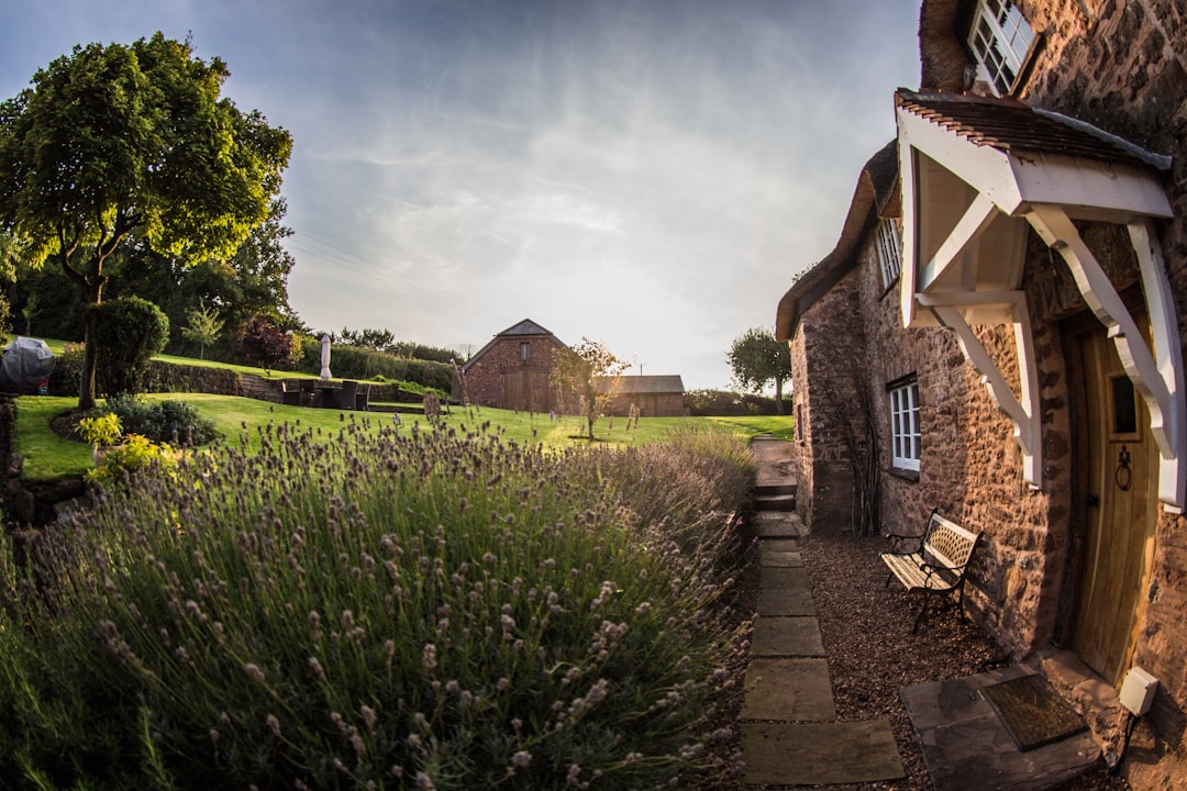 photo of Somerset Panorama near Forde Abbey