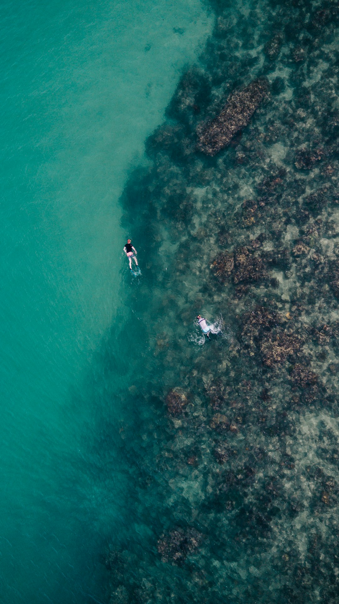 two people swimming on the sea