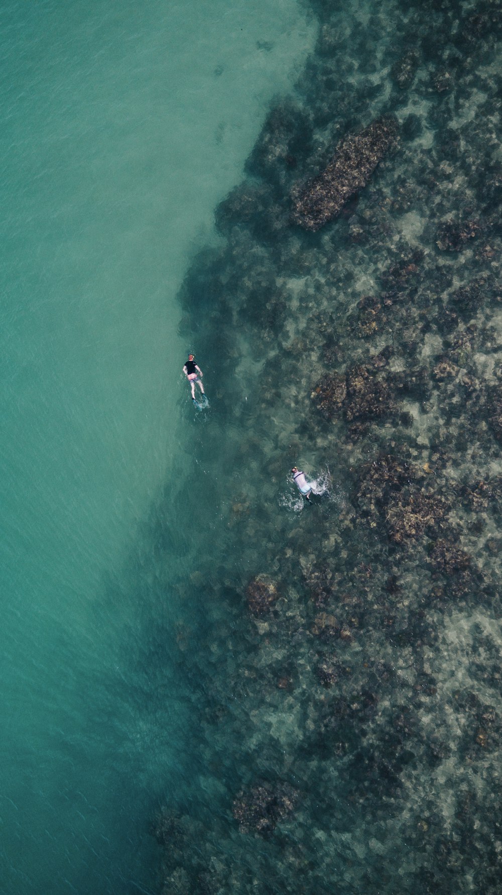 two people swimming on the sea