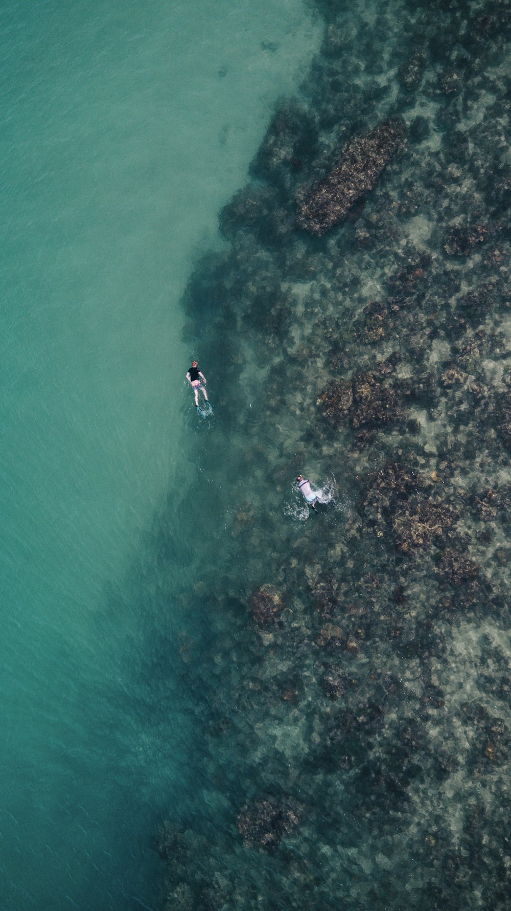 duas pessoas nadando no mar