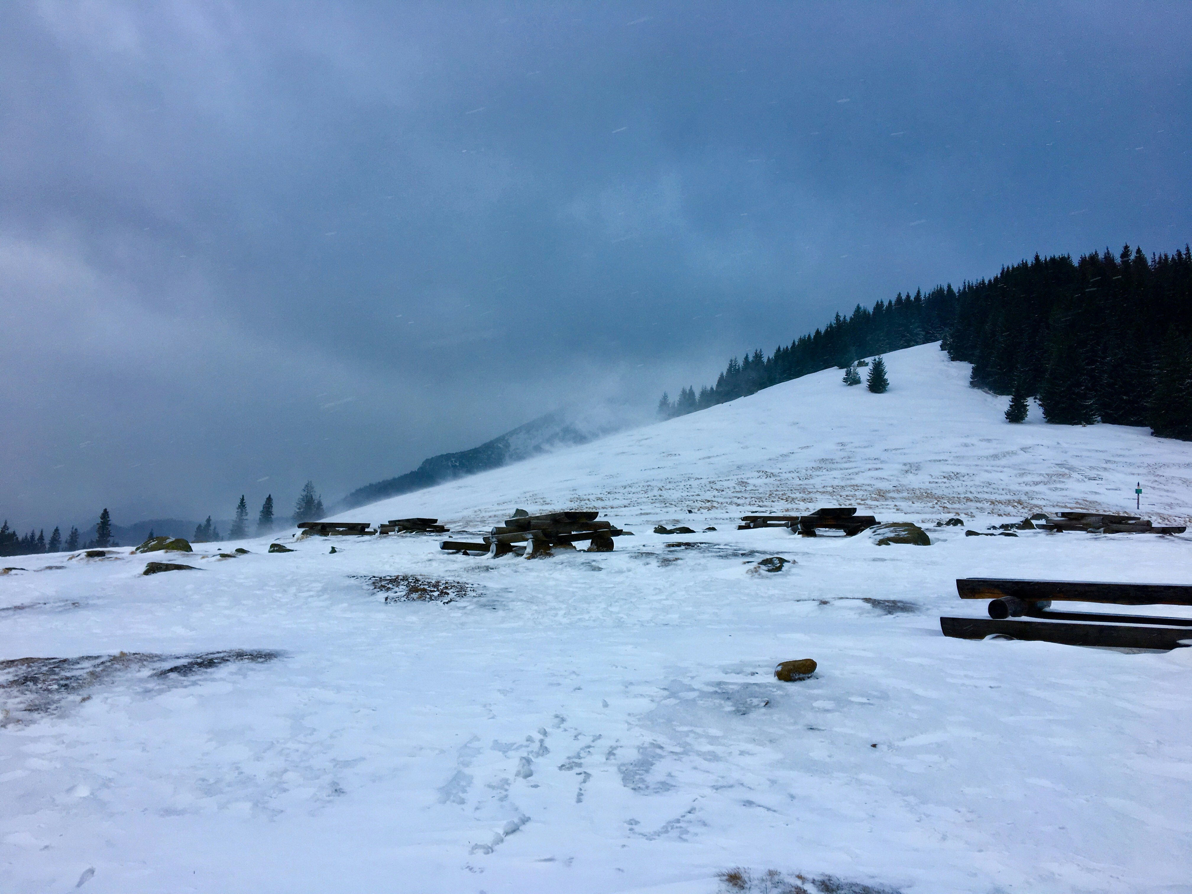 Free Unsplash photo from Robert Siepracki