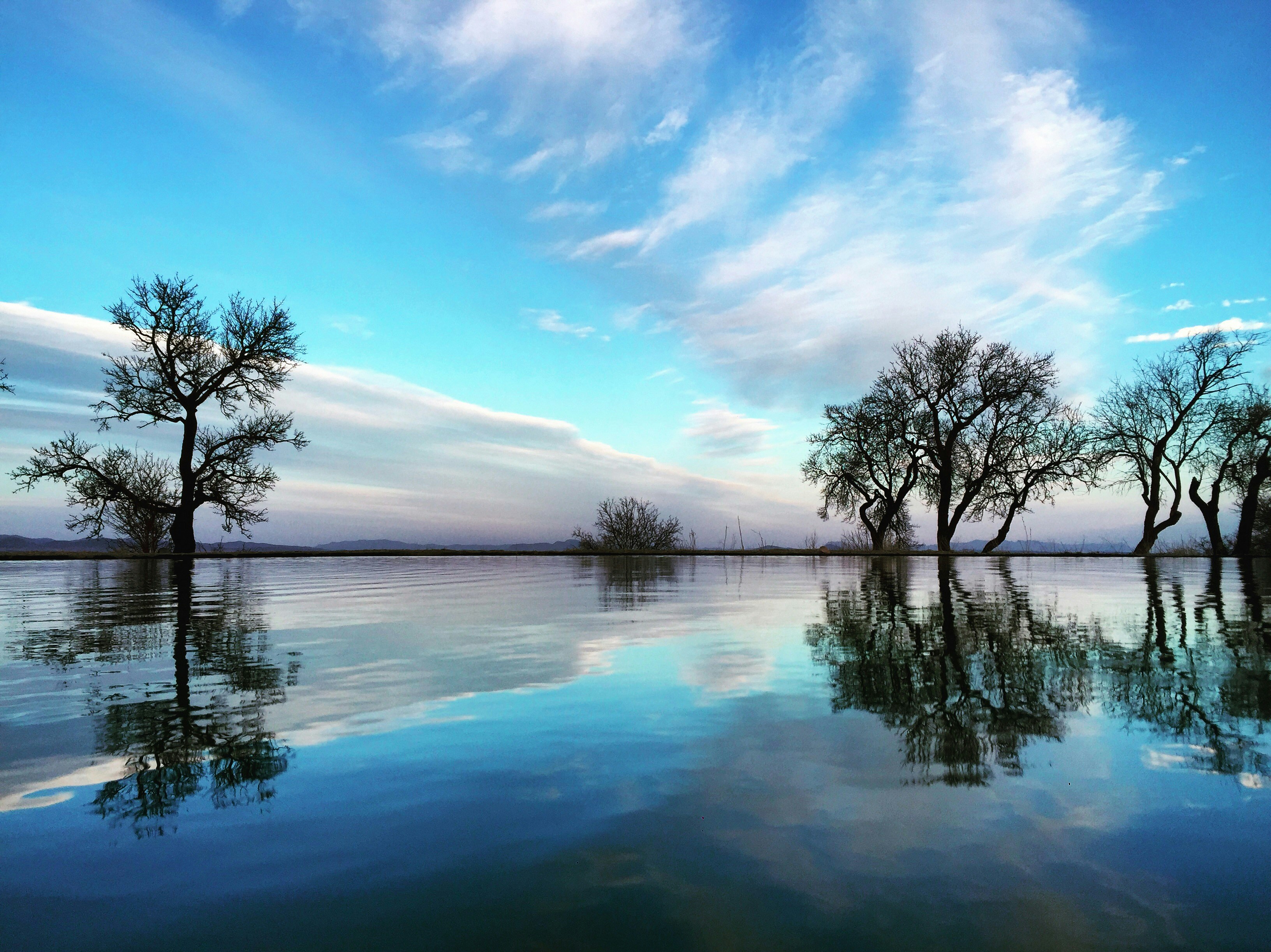 Free Unsplash photo from Behnoud Behzadi