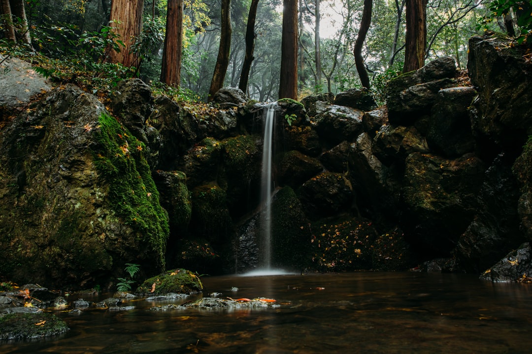 Waterfall photo spot Daigoji Nunobiki Park