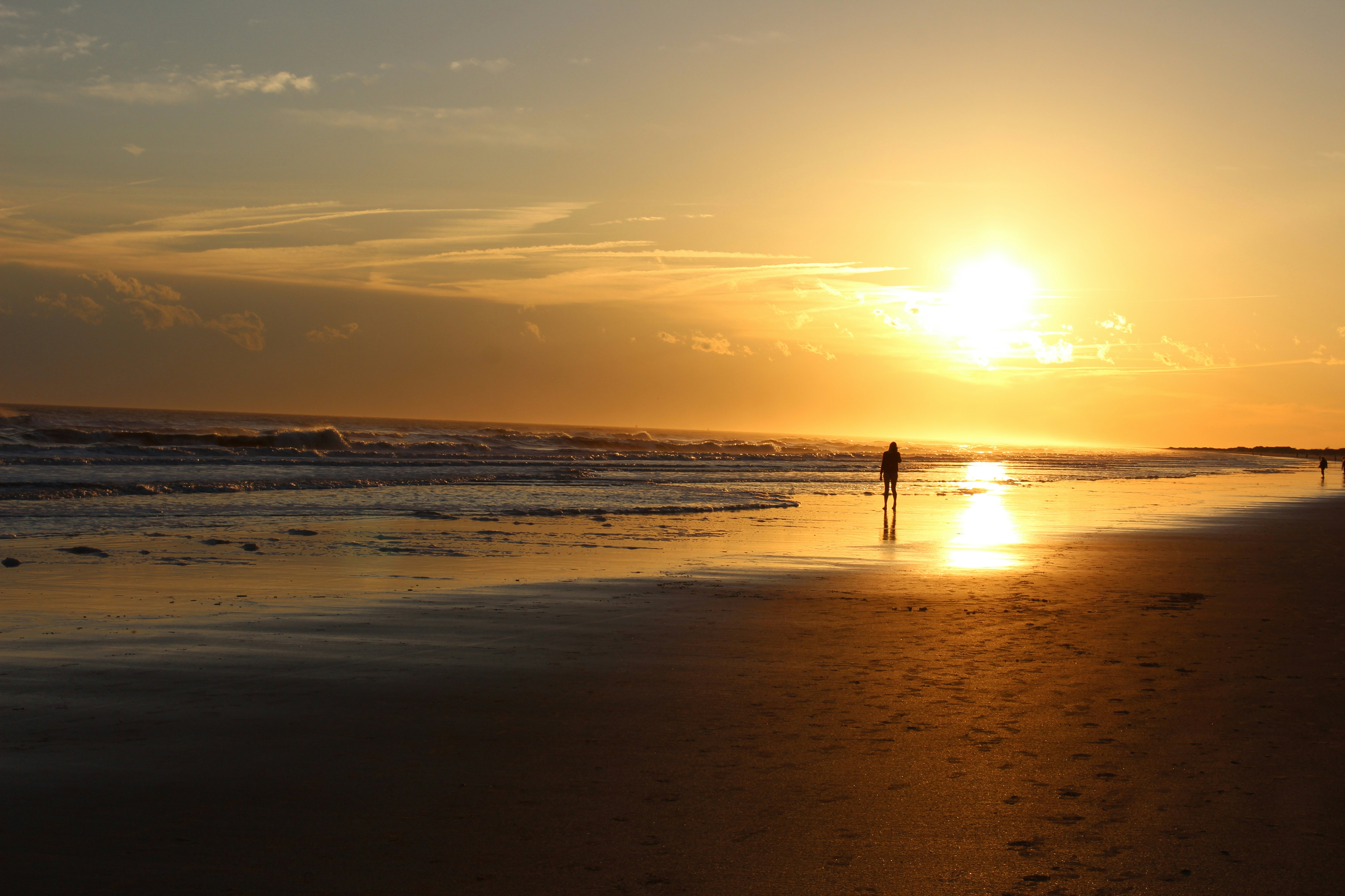 Free Unsplash photo from Neil Shah