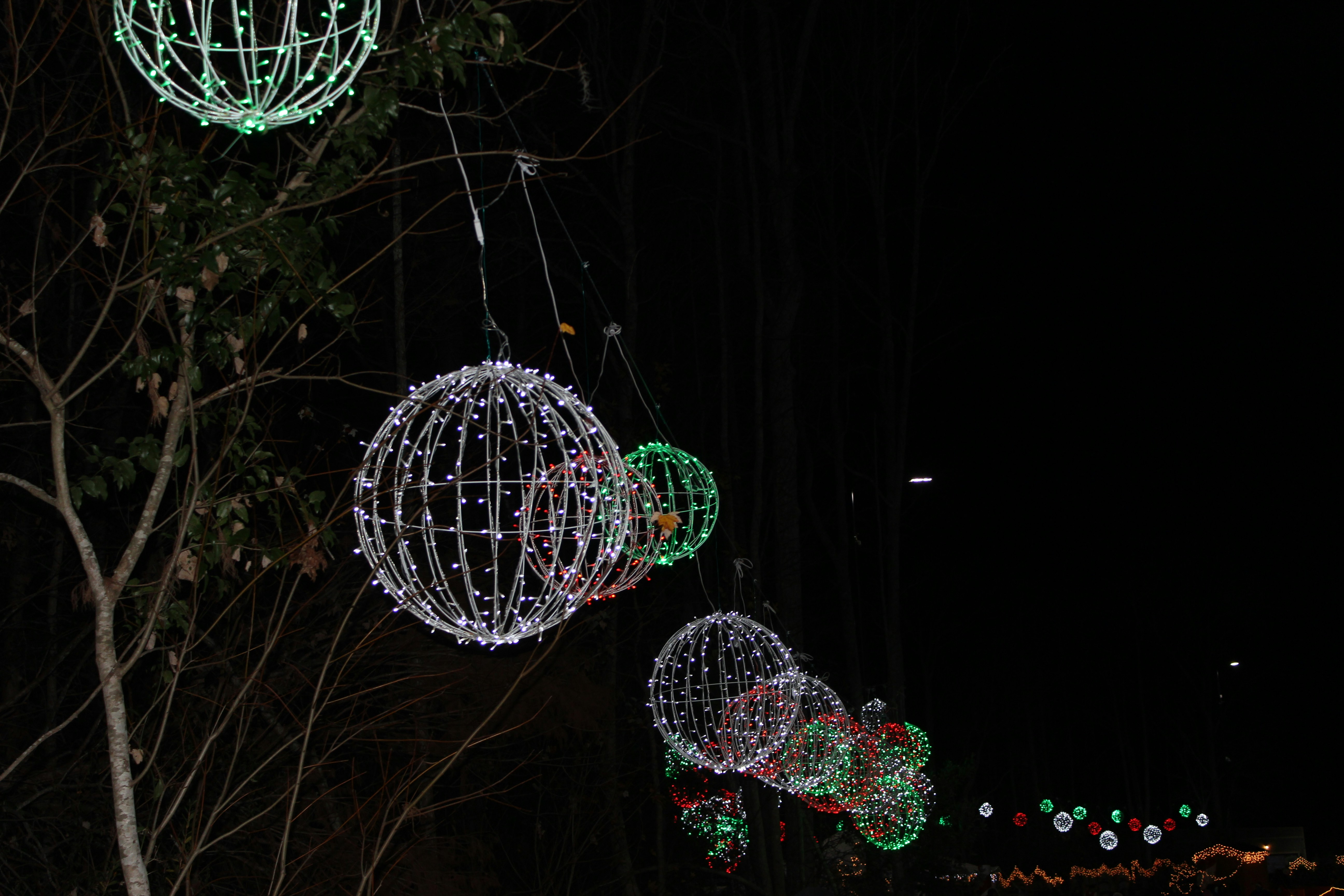 Free Unsplash photo from Neil Shah