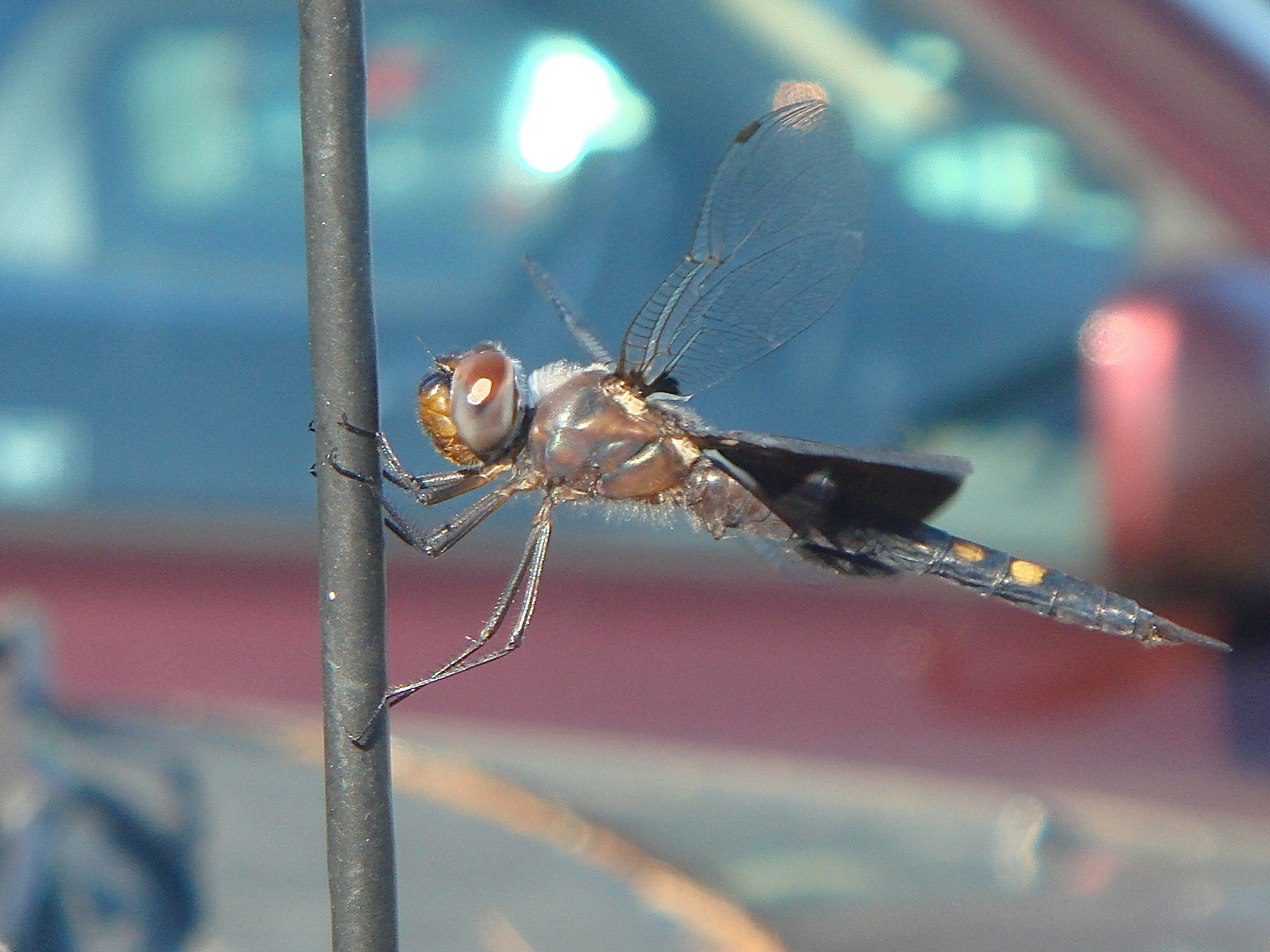 Free Unsplash photo from Jd Dworkow