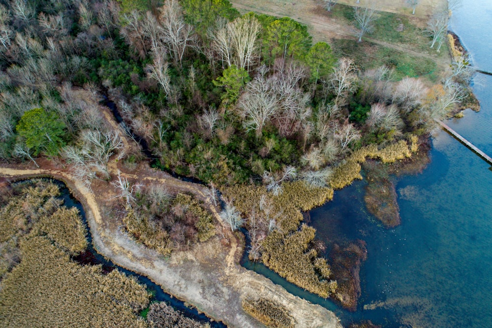 aerial view of landscape with trees near body of water