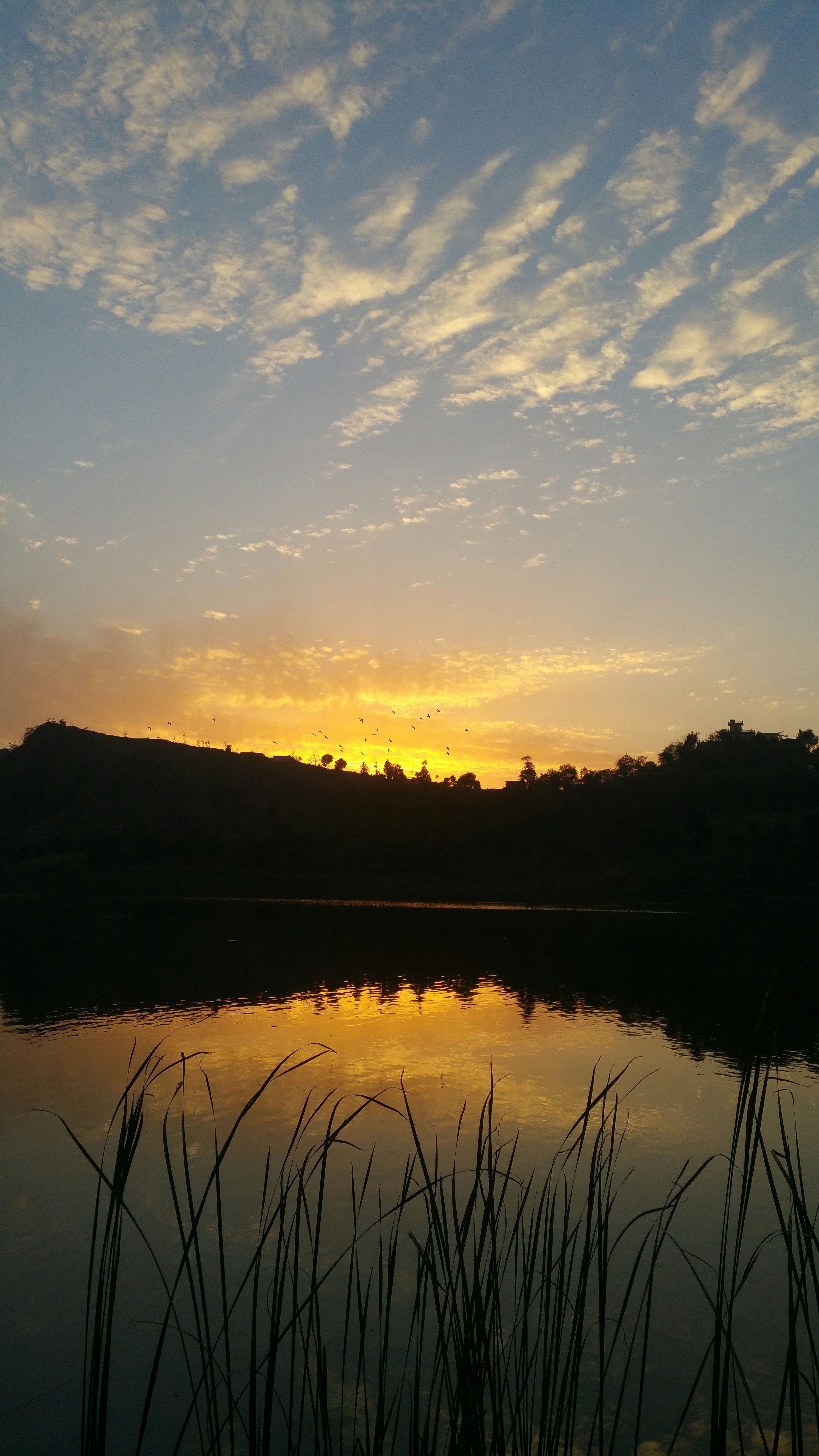 Free Unsplash photo from Hemant Singh