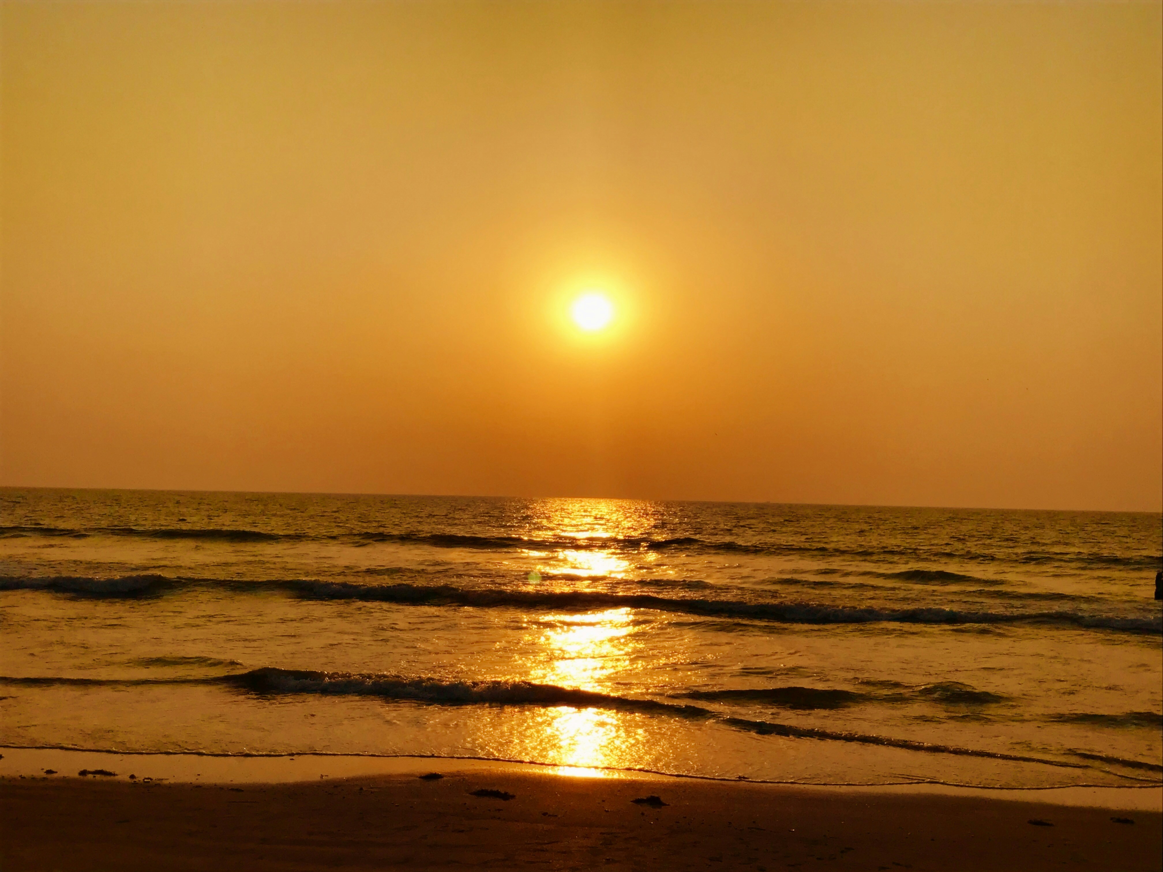 Free Unsplash photo from Kanupriya Sindhu