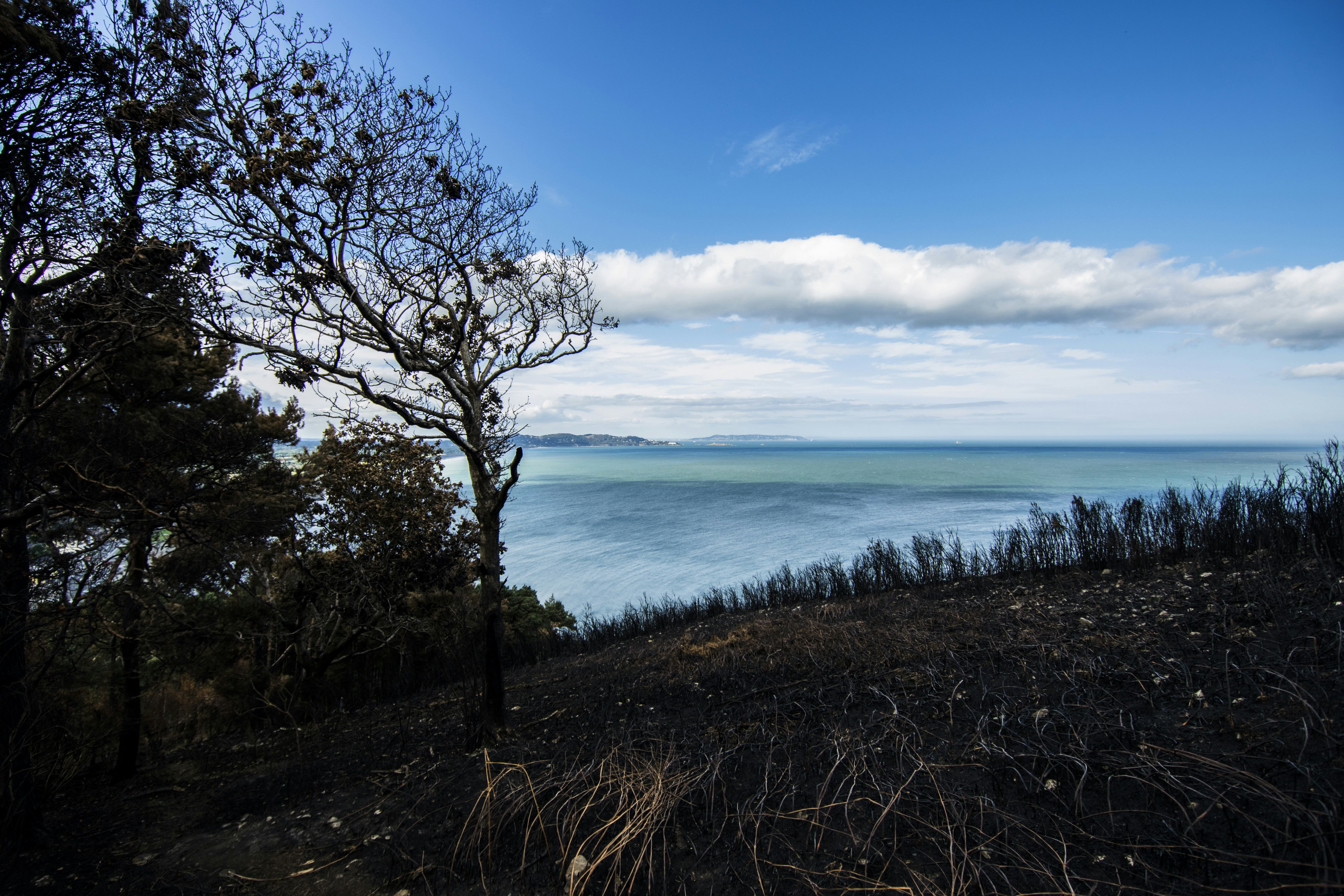 Free Unsplash photo from Filippo Cozzini