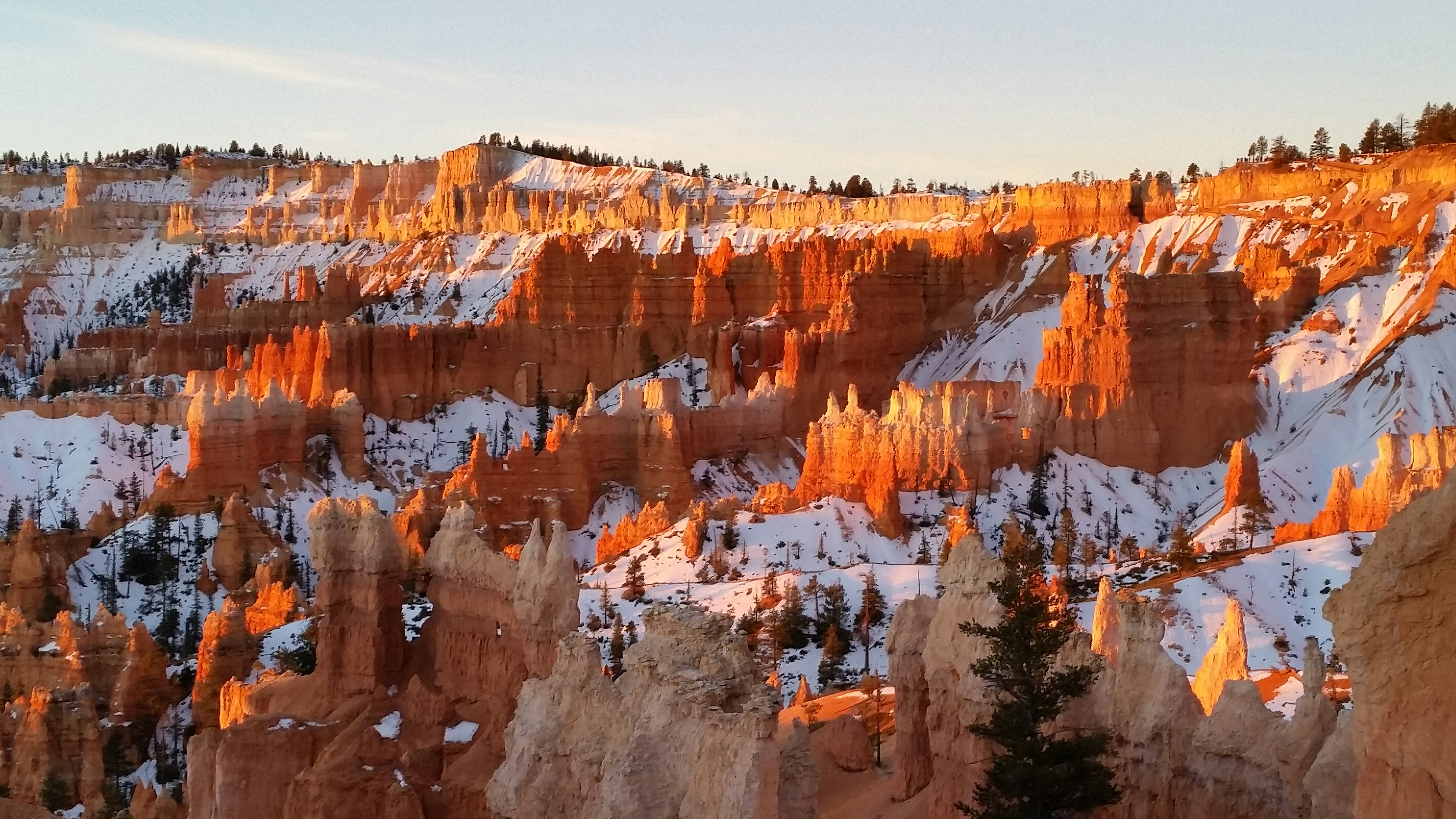 Free Unsplash photo from Sean  MacNaughton