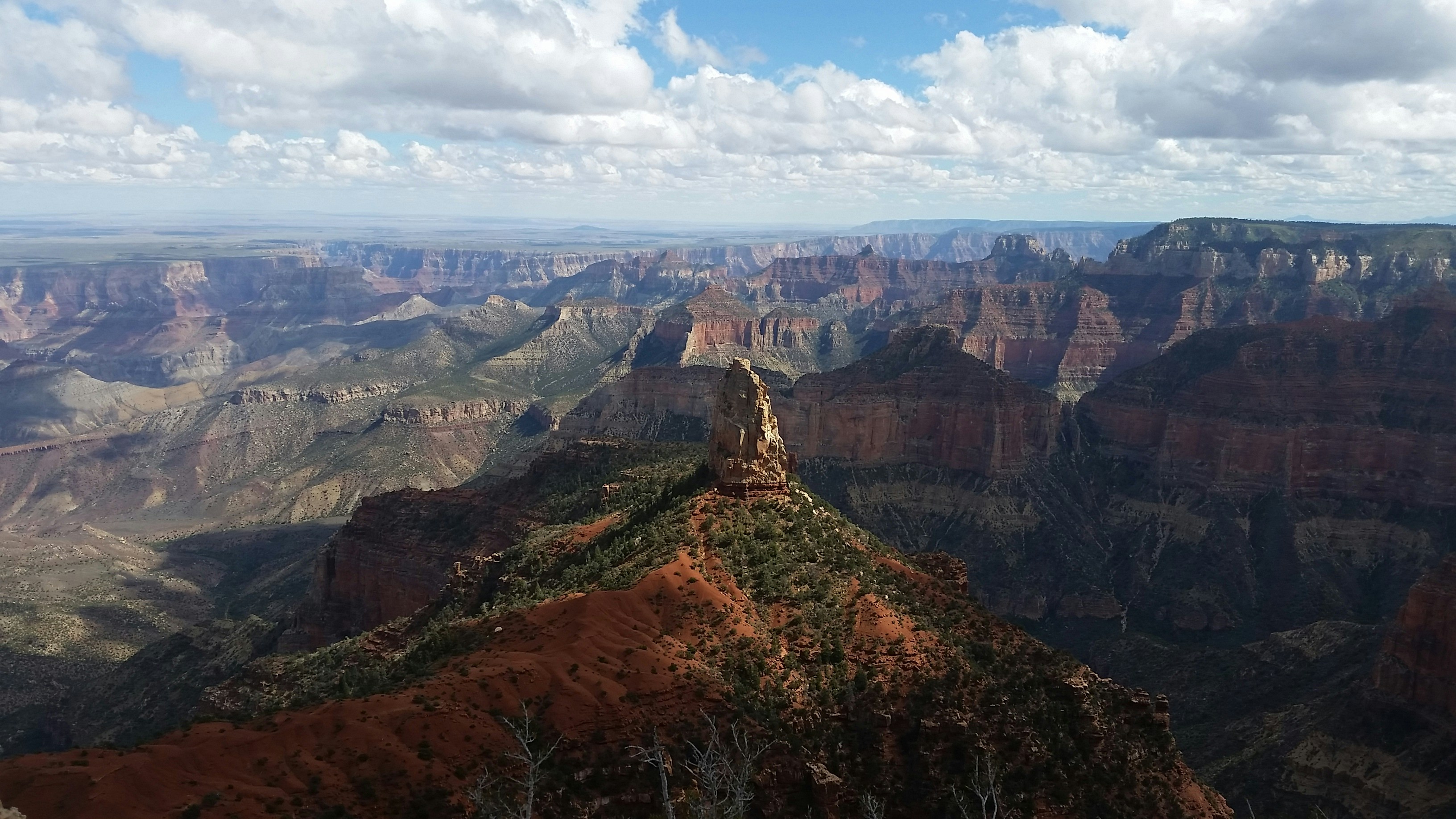 Free Unsplash photo from Sean  MacNaughton