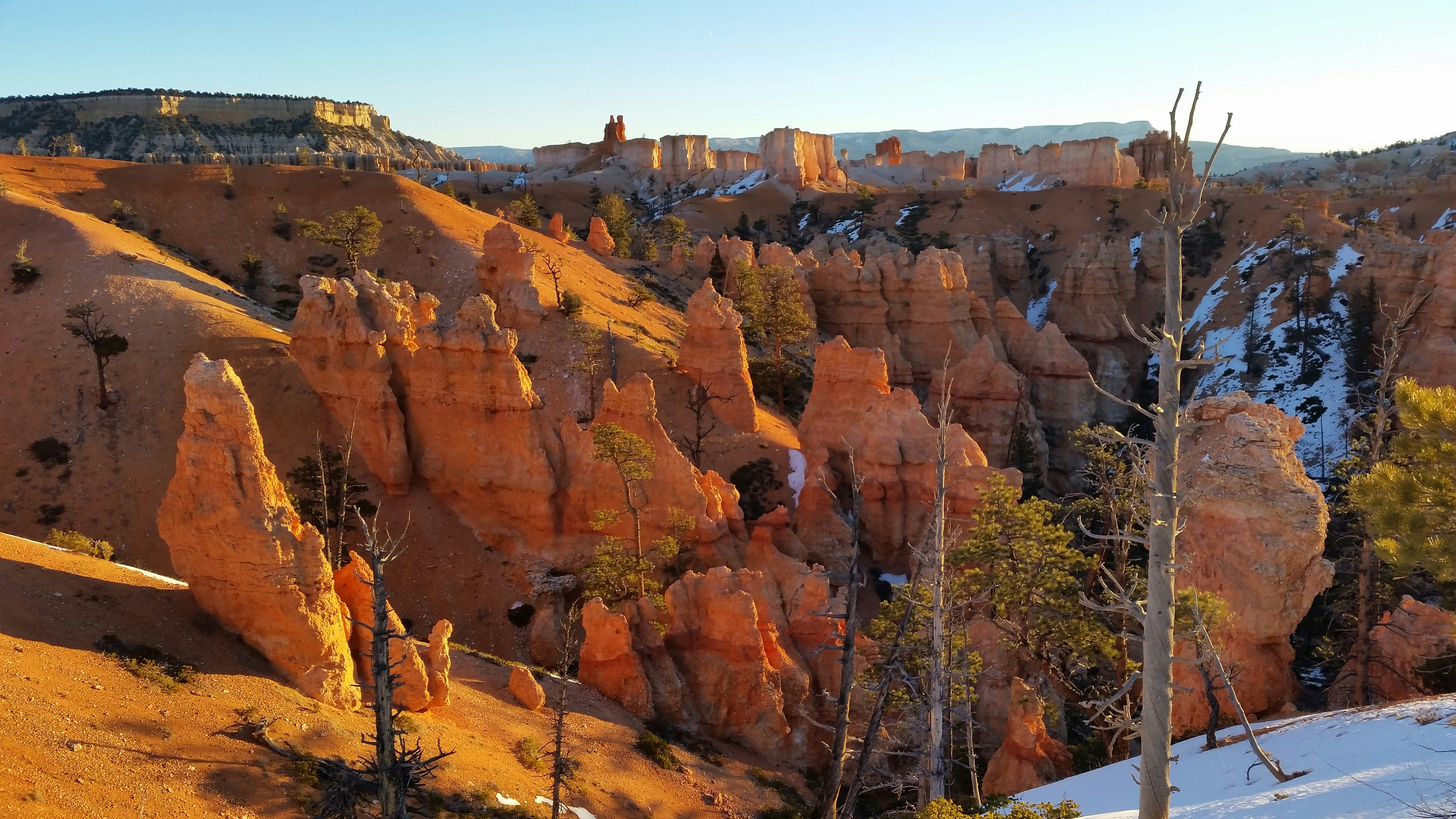 Free Unsplash photo from Sean  MacNaughton