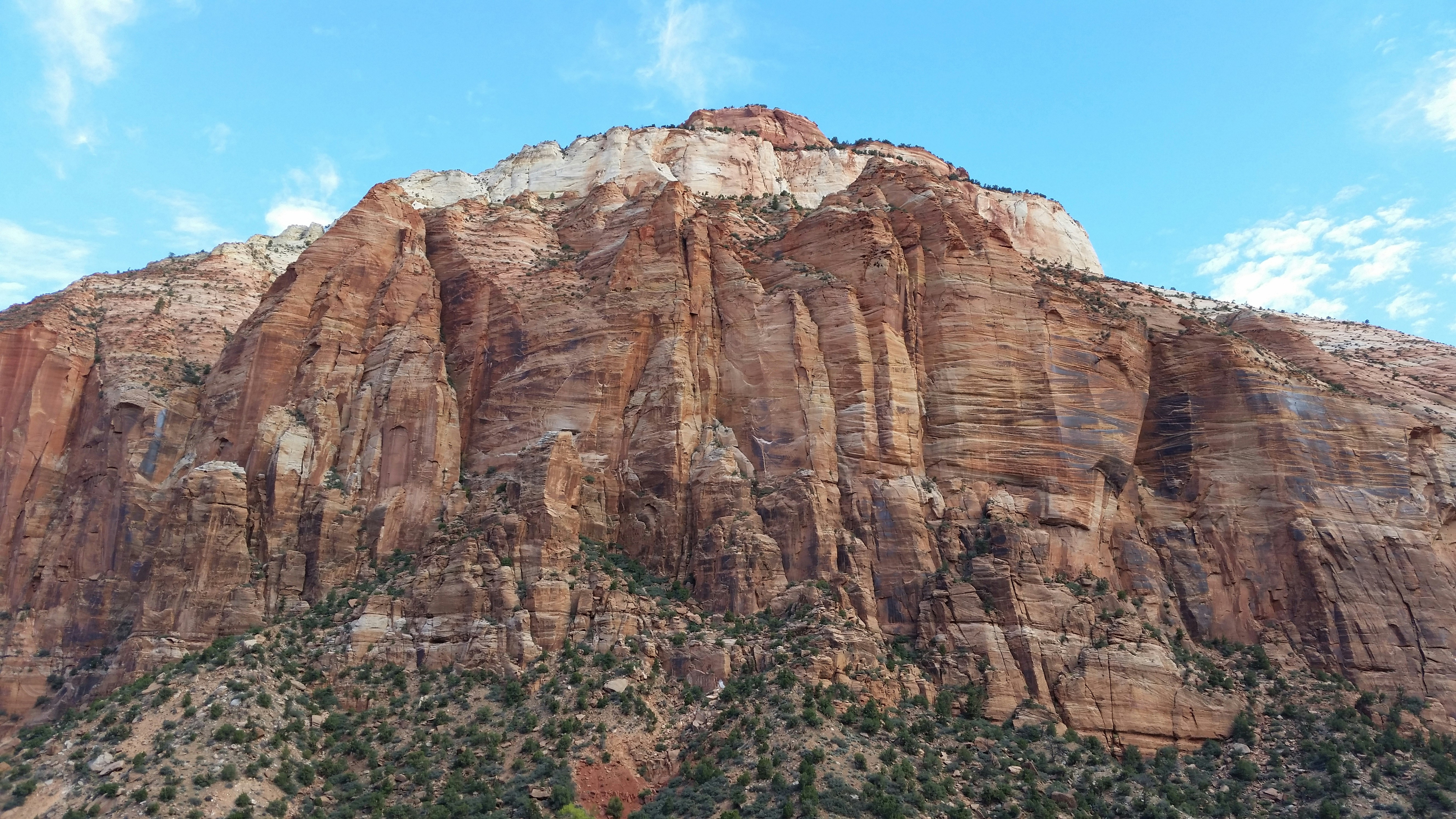 Free Unsplash photo from Sean  MacNaughton