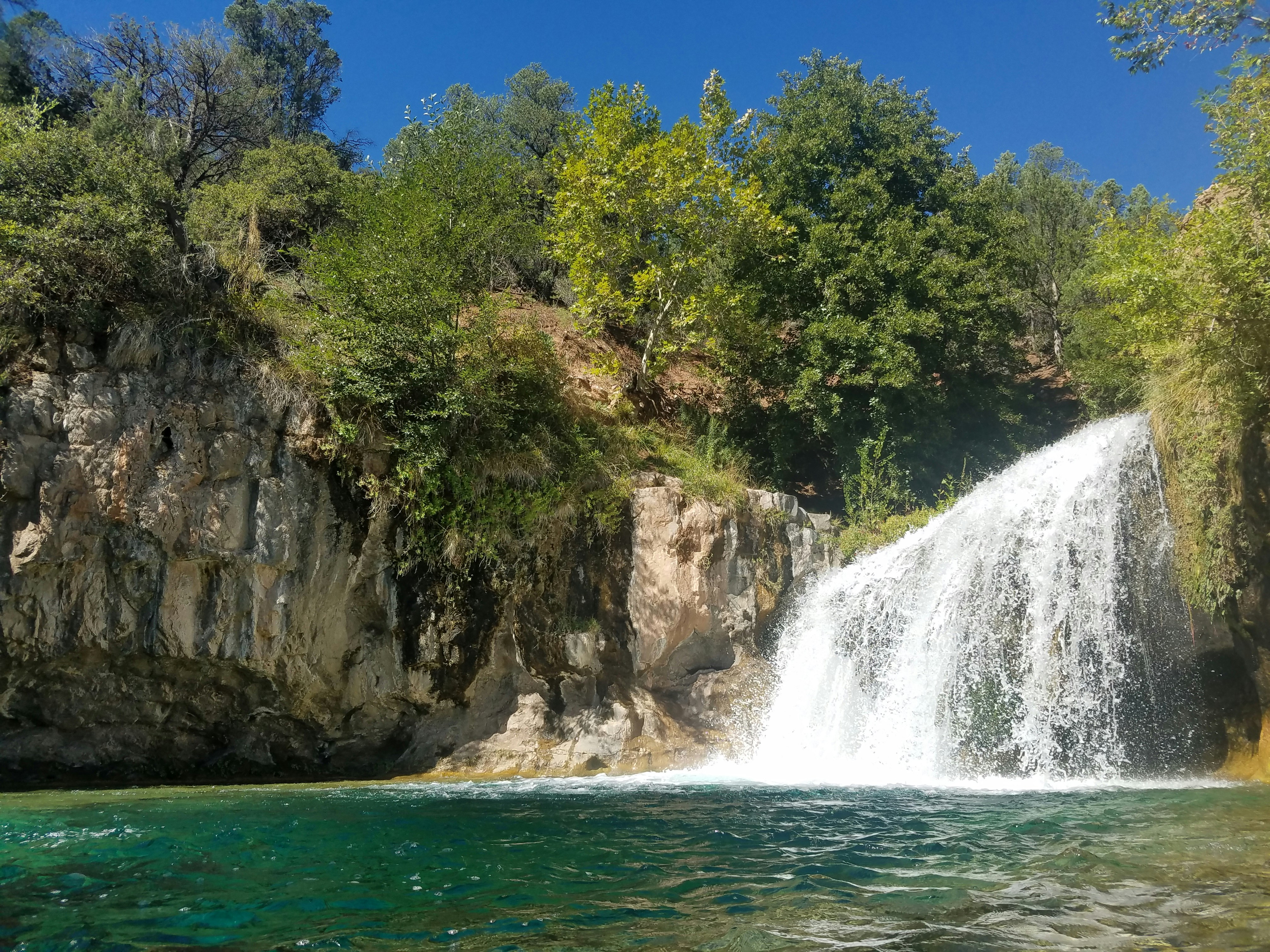 Free Unsplash photo from Sean  MacNaughton