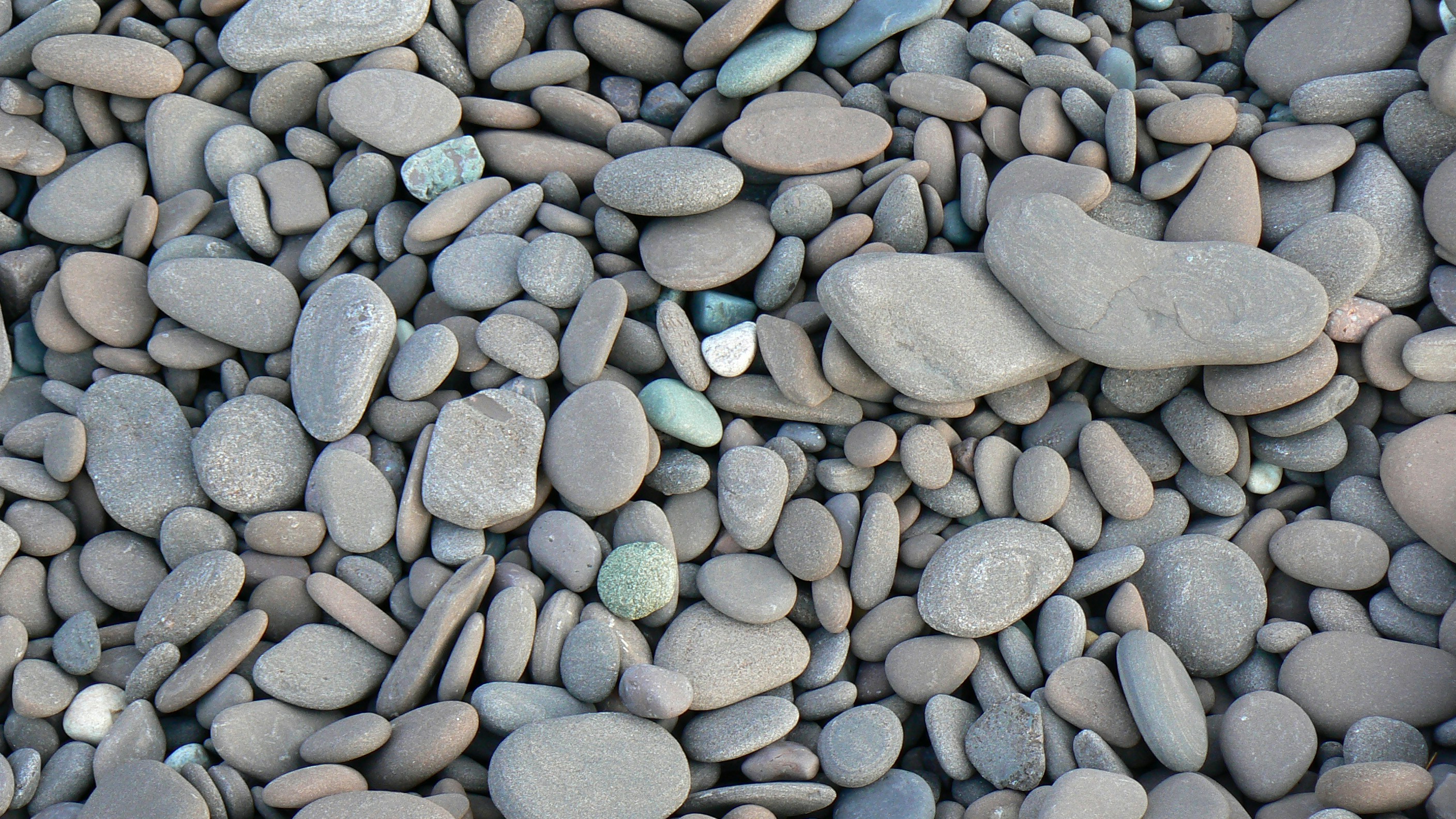 Free Unsplash photo from Jon Snurka