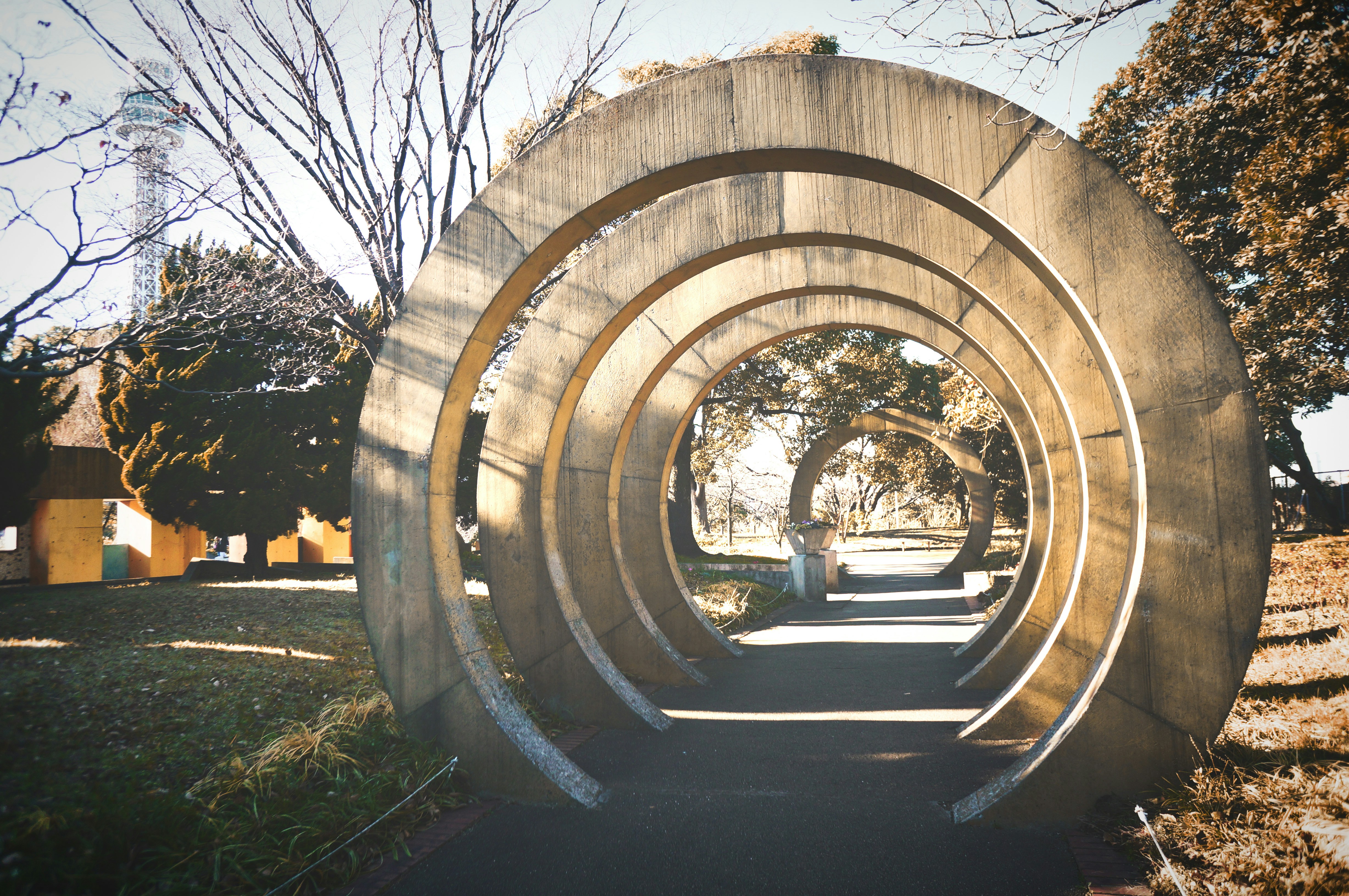 Free Unsplash photo from Saran Maeda