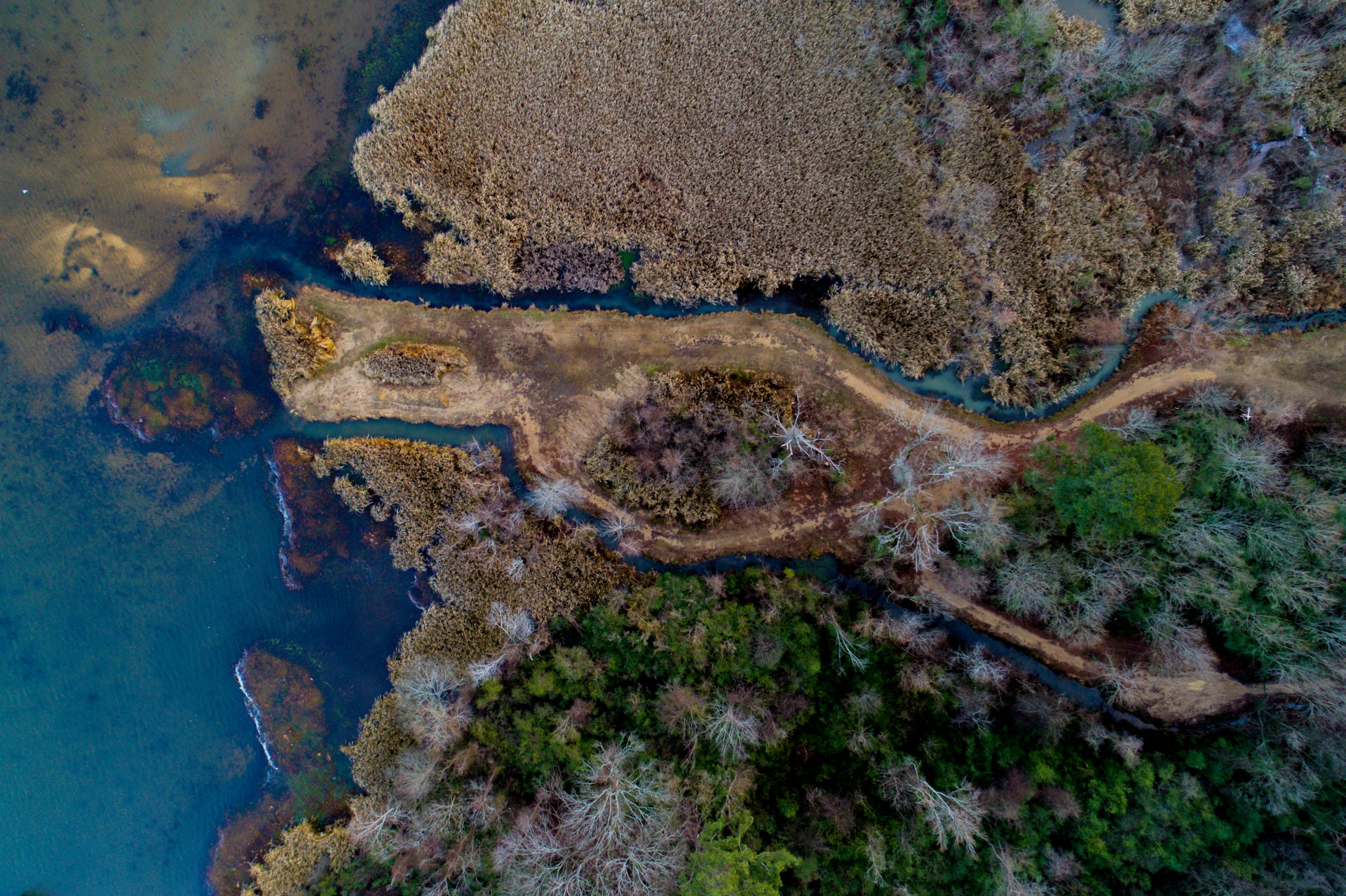 aerial view of land