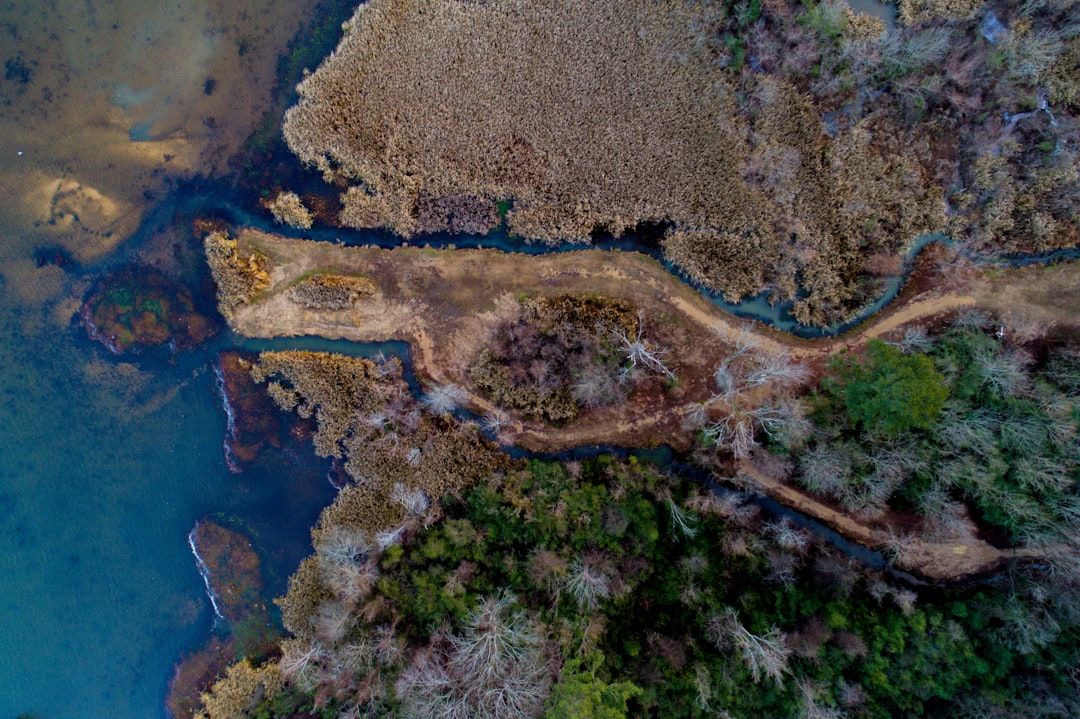 aerial view of land, River estuary drone view