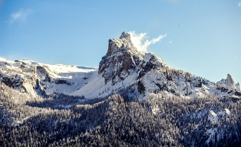Montaña cubierta de nieve bajo el cielo azul