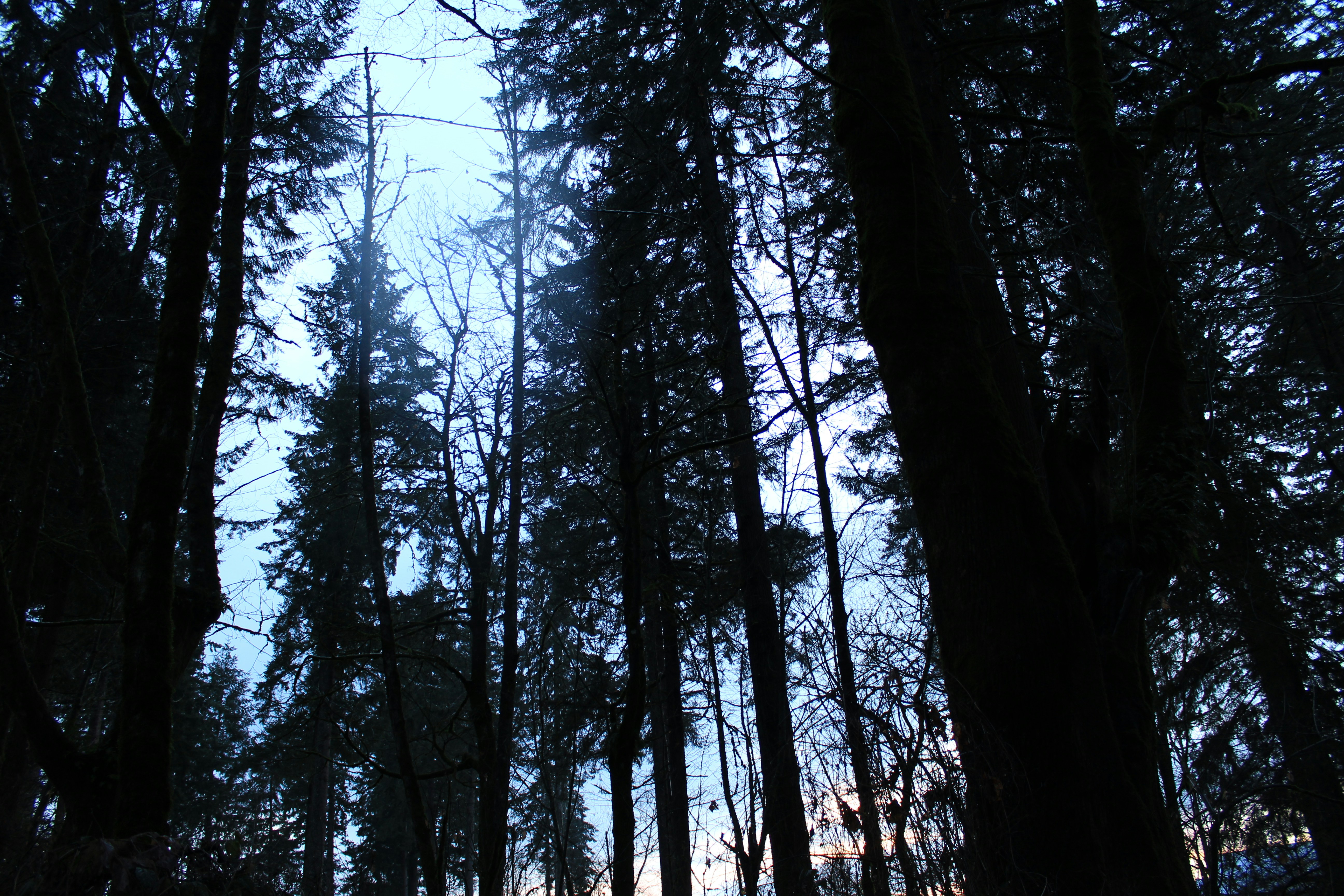 Roman d'aventure captivant