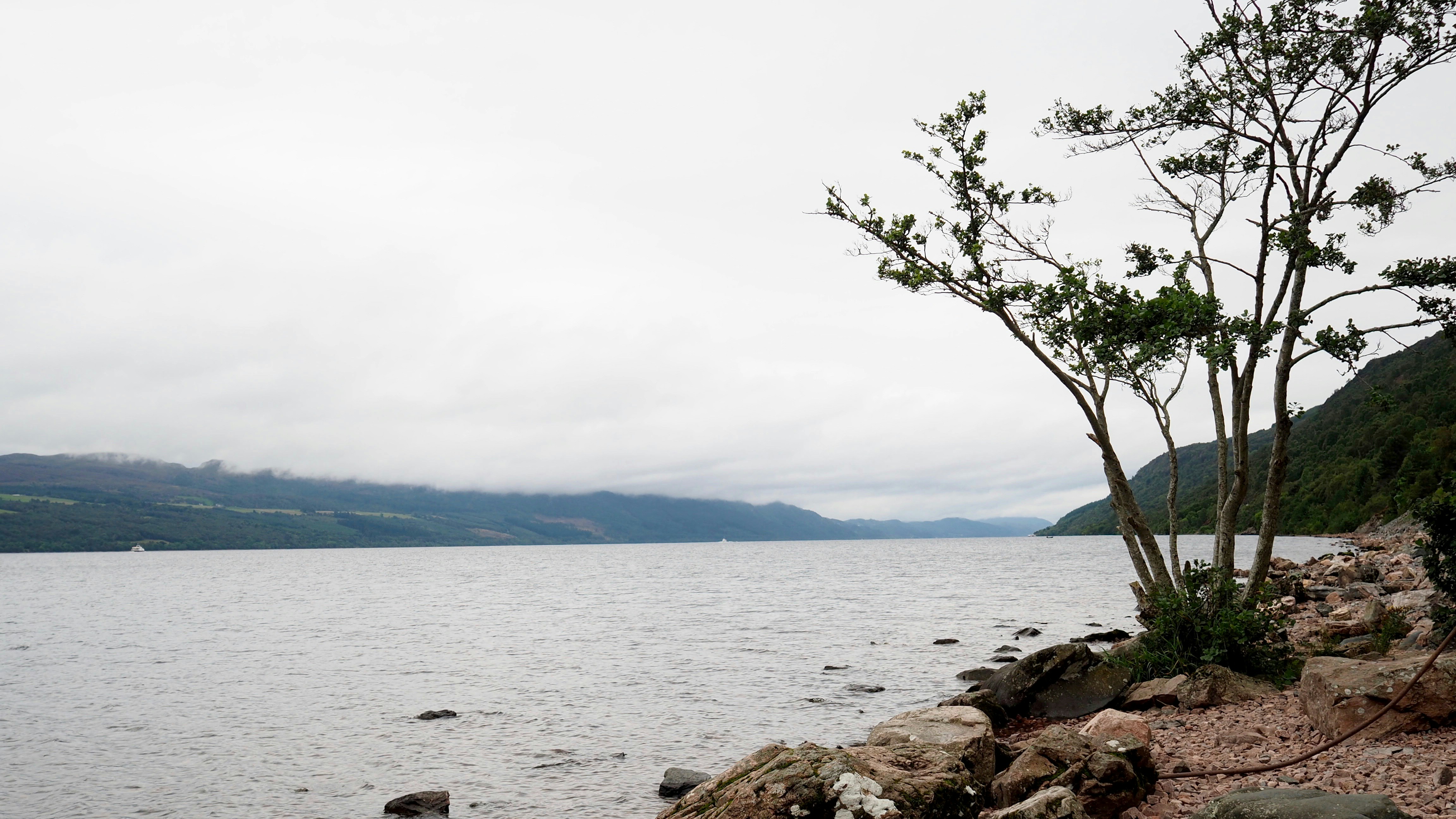 Free Unsplash photo from John Dancy