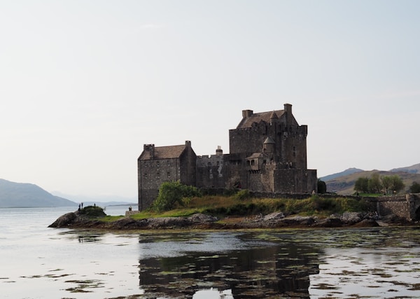 brown house on island