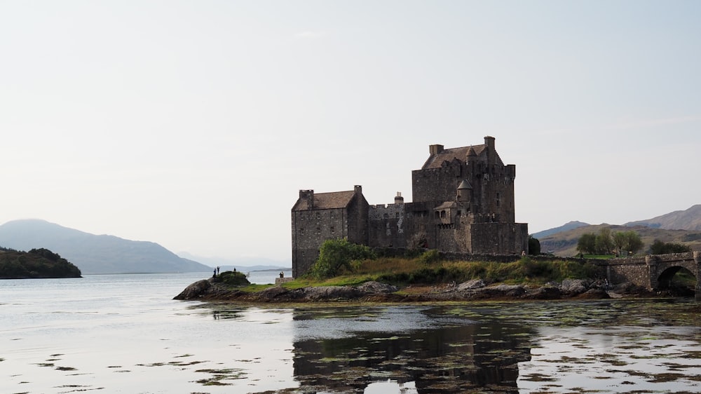 brown house on island