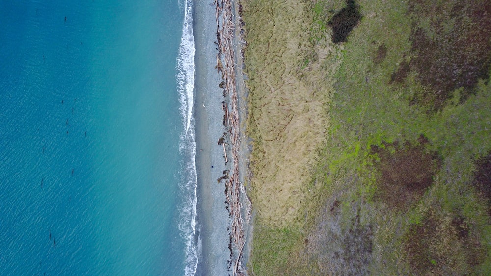 Fotografia em alto ângulo de SA e árvores