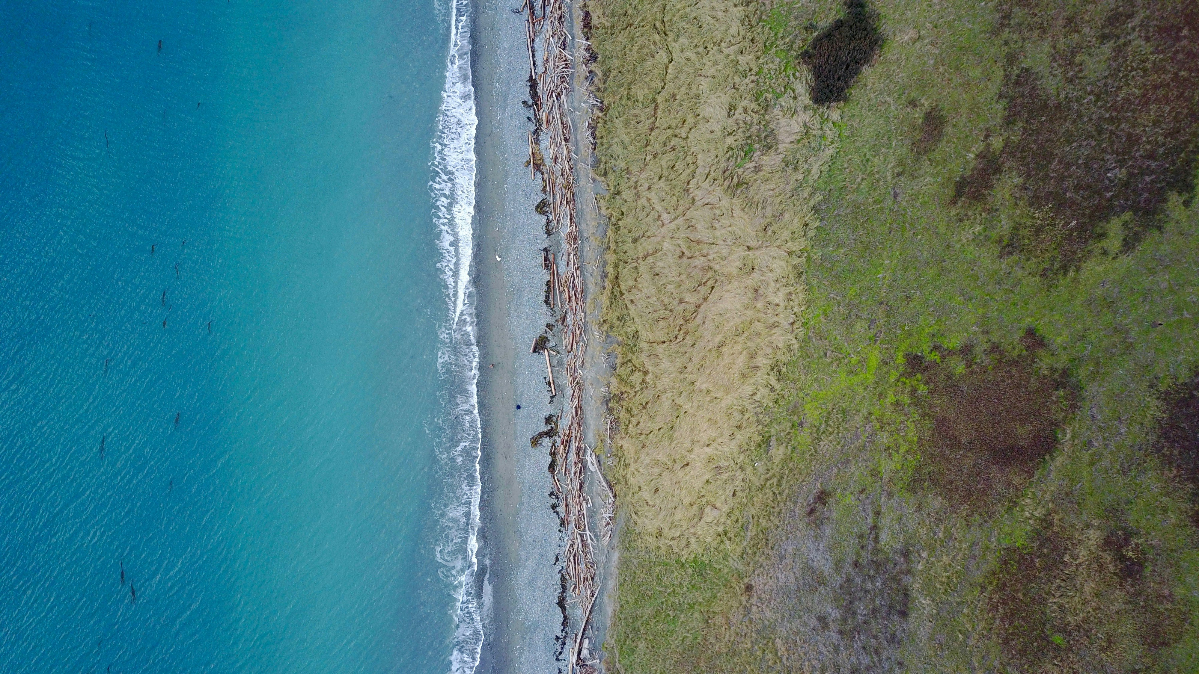 high angle photography of sa and trees