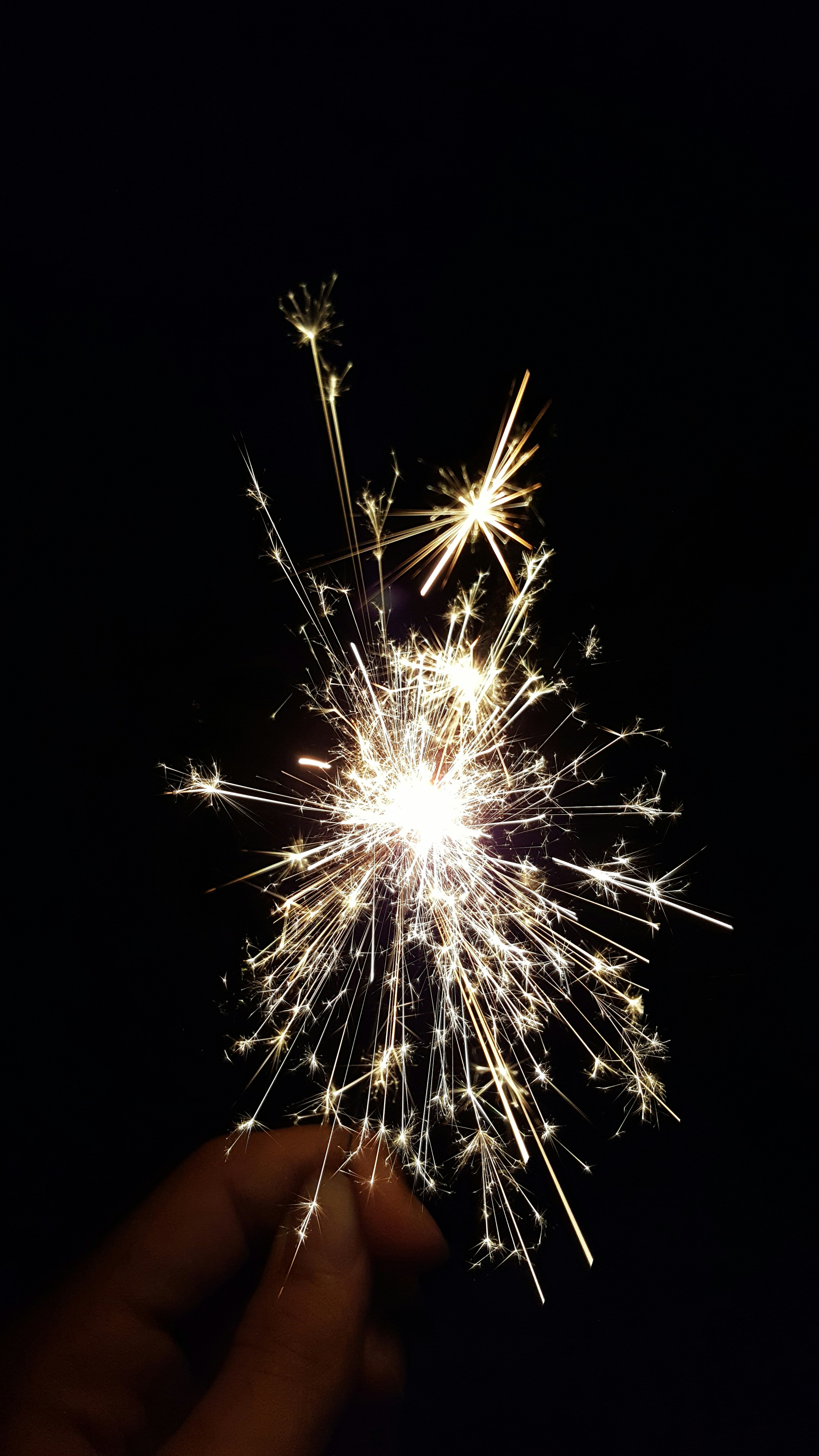 Free Unsplash photo from Axel Curras