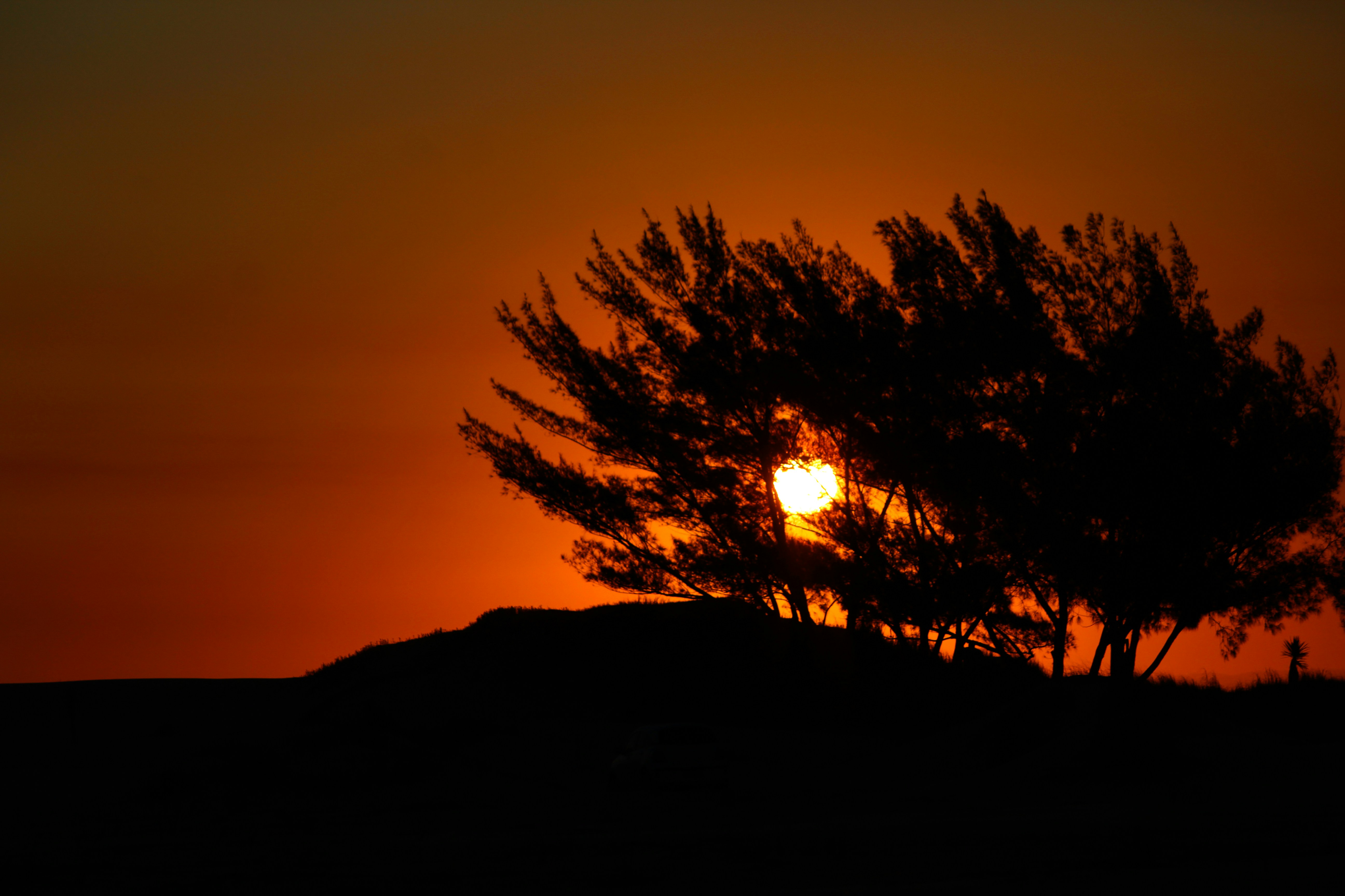 Free Unsplash photo from Mateus Andrade